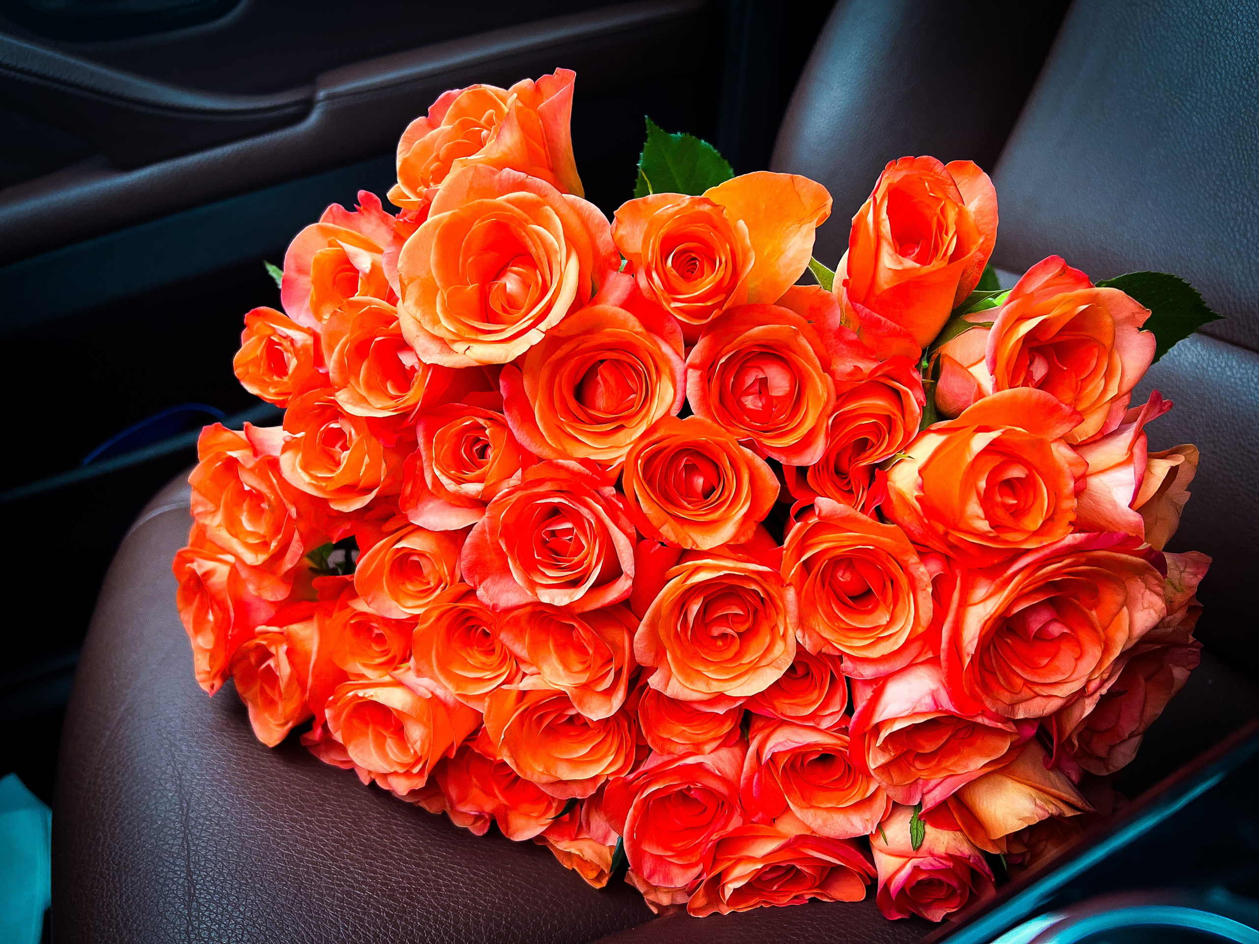 Ästhetik. Fotografin Kati Rebling