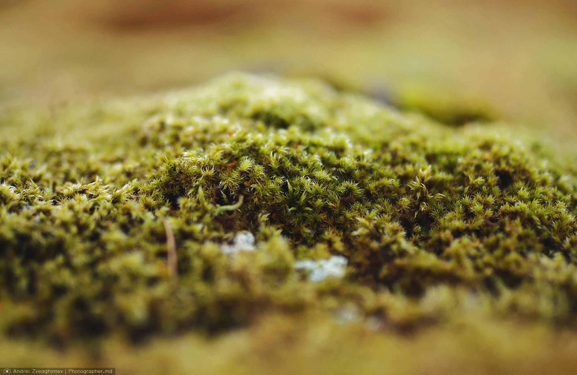 Cele mai frumoase imagini din Islanda - fotograf travel Andrei Zveaghintev. Fotograf nunta si familie in Moldova, Chisinau - Andrei Zveaghintev