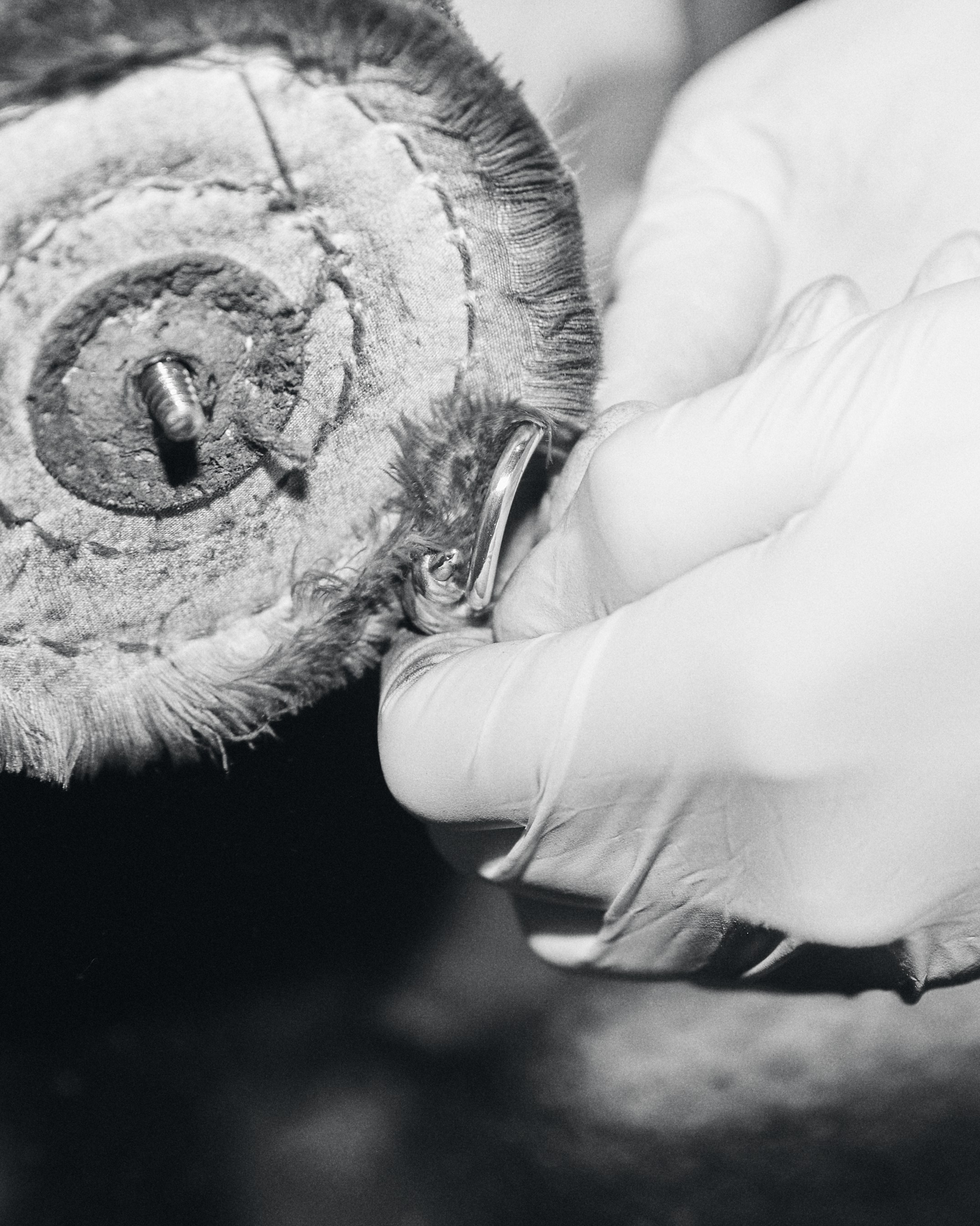 Jewelers. Photographer Katya Vlasova