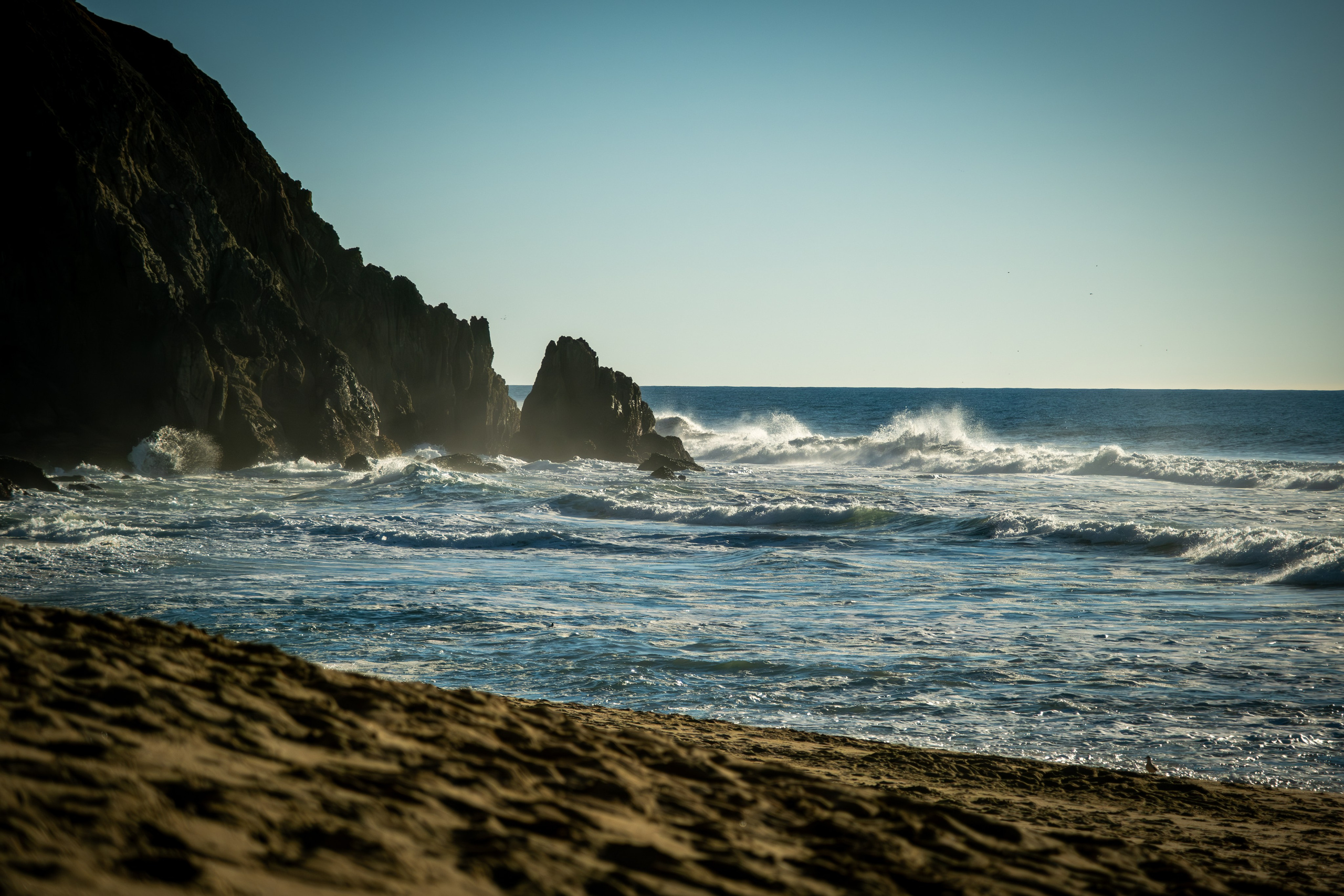 NATURE. Reportage concert portrait photography in the San Francisco Bay Area