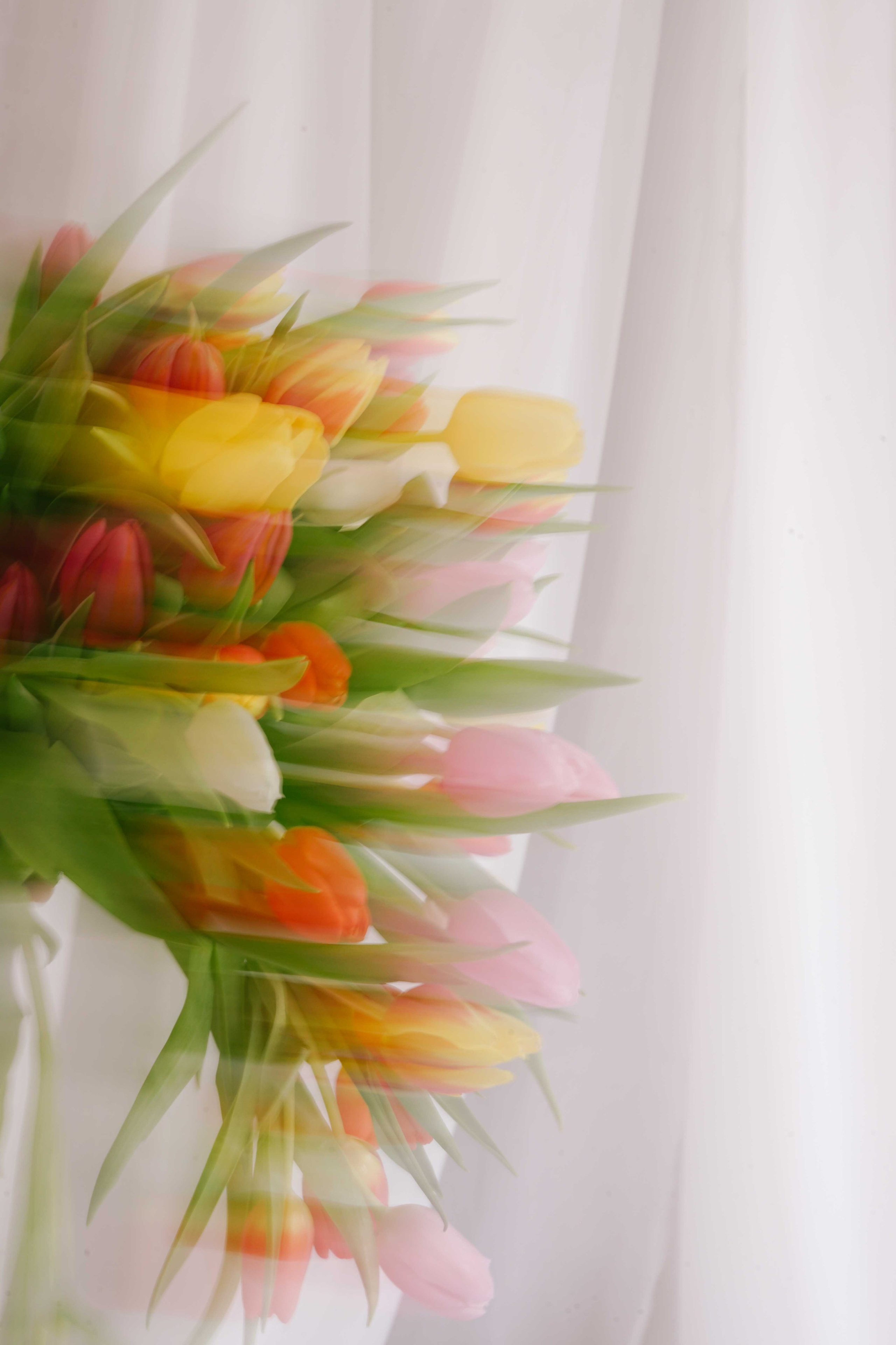 Ședințe Foto Primăvara Colorată Brașov | Mădălina Beda. Madalina Beda- Artist vizual, fotograf, doula la nastere, consultant babywearing Brasov si in toata tara