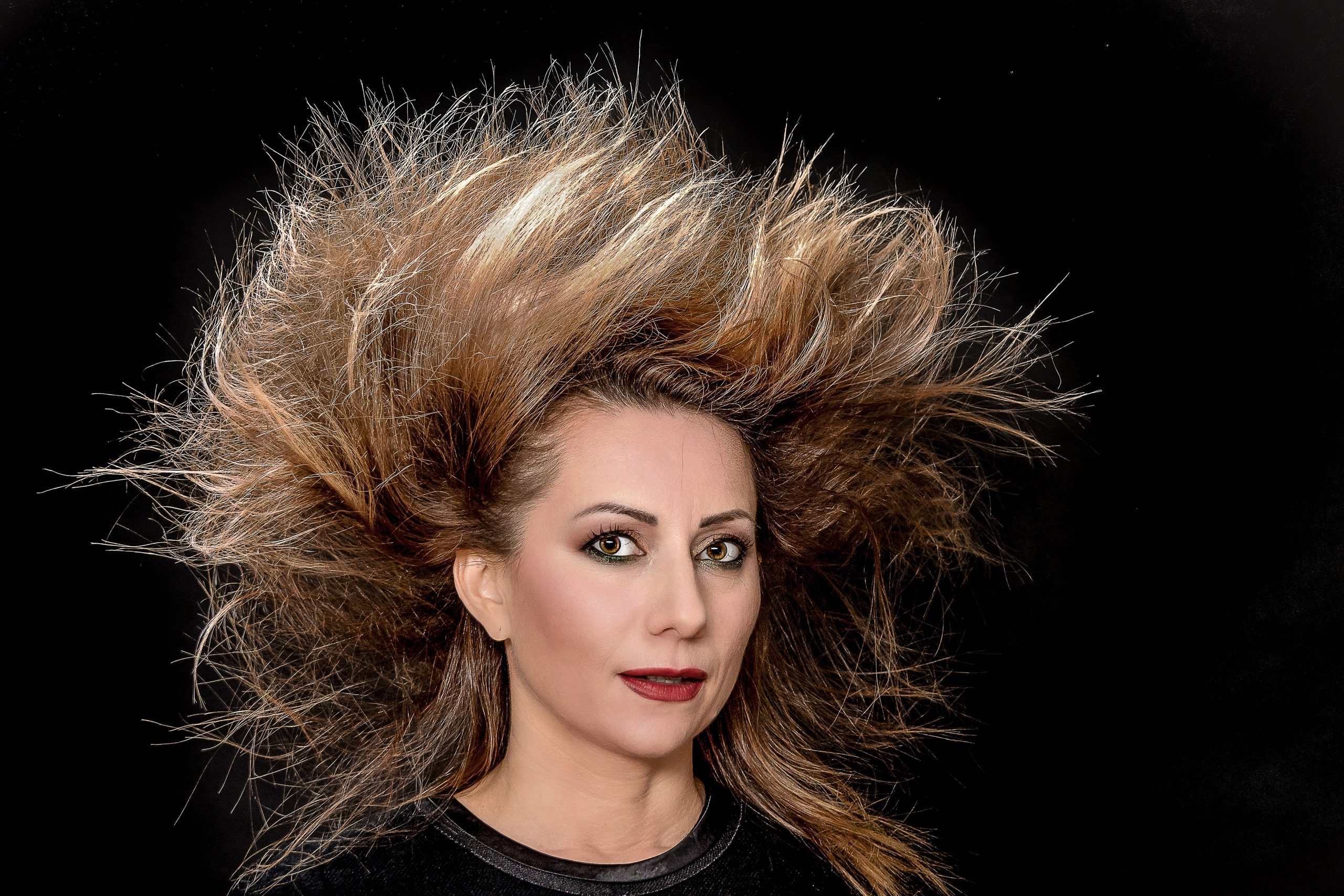 Studio. Daniel Hașiegan