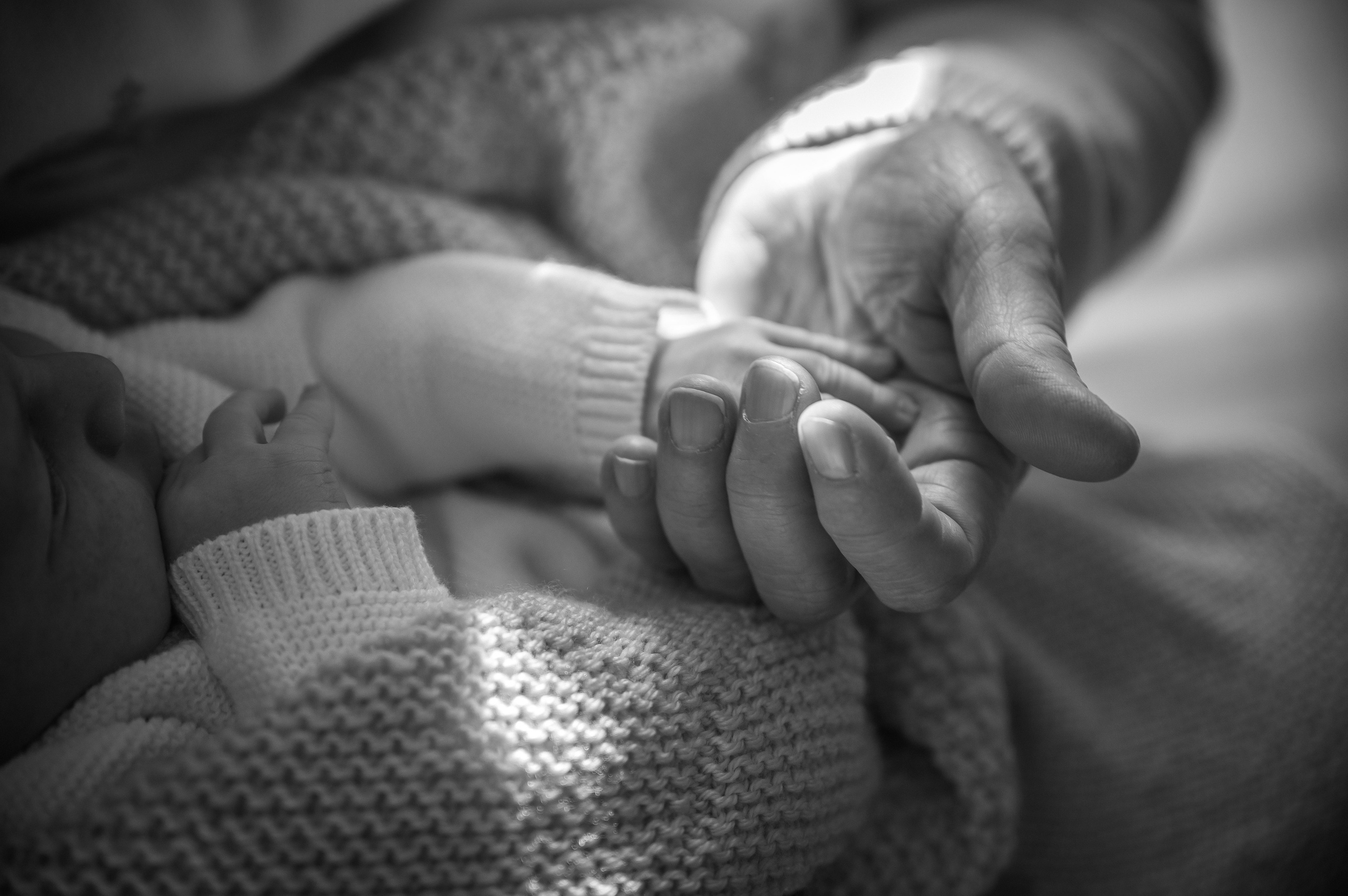 Sebastian. Victoria Lyubchenko — fine art photography in Bismarck, ND