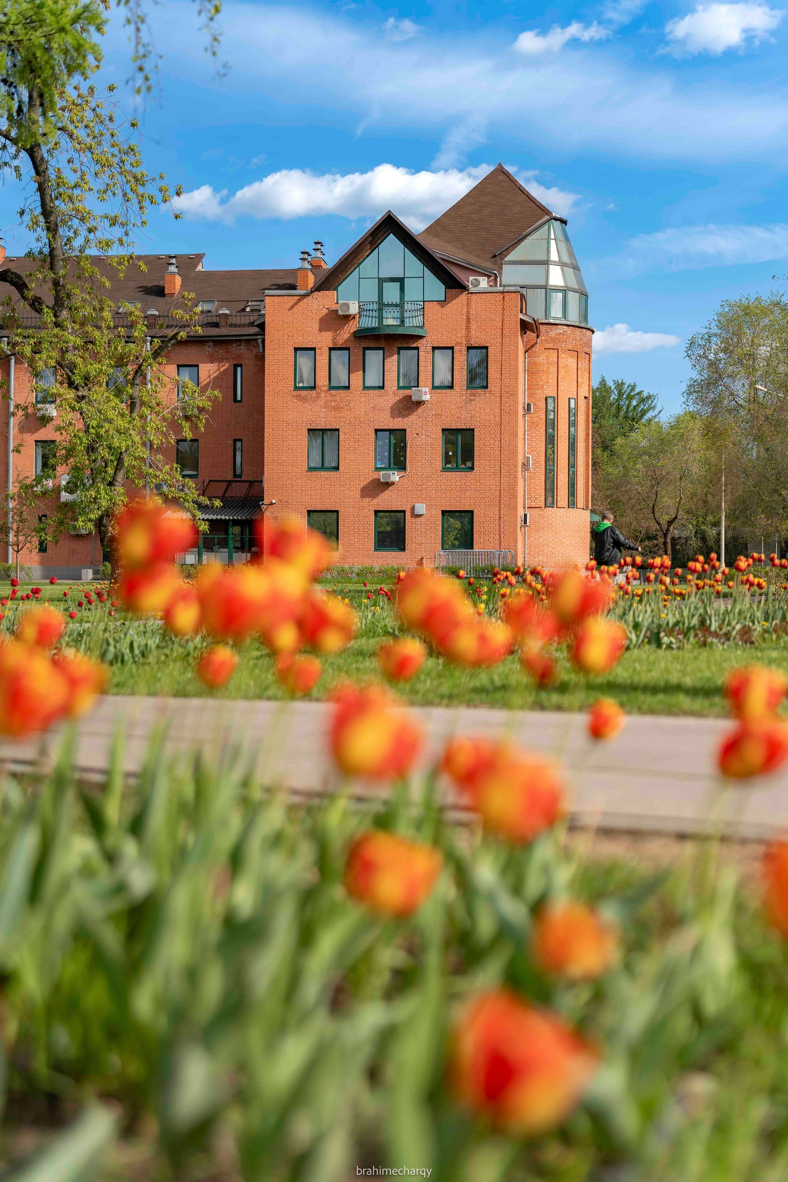 Фото. Брахим — фотограф
