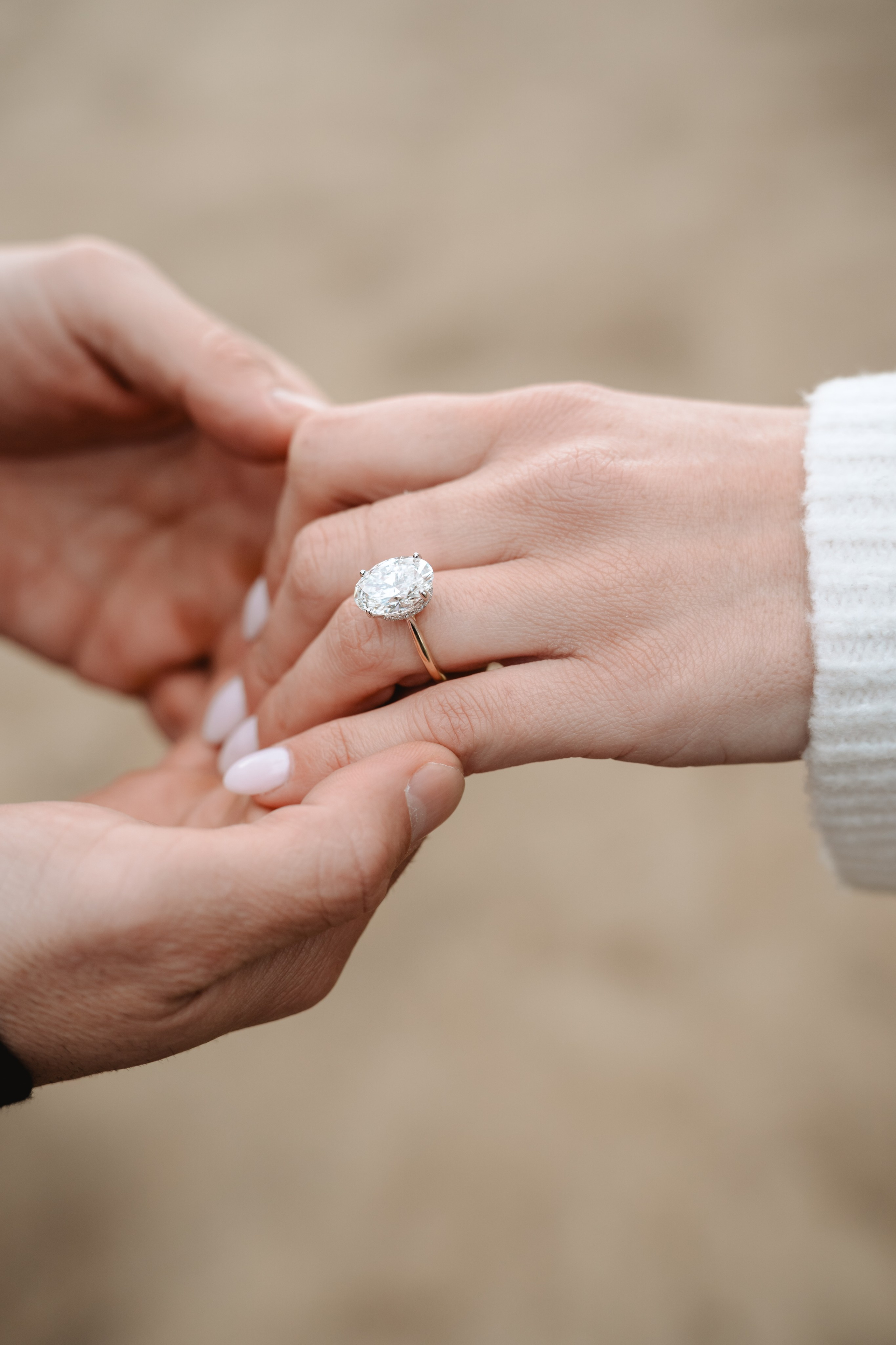 Castenzio&Brenna Proposal. Photographer in New York Faery By Mary