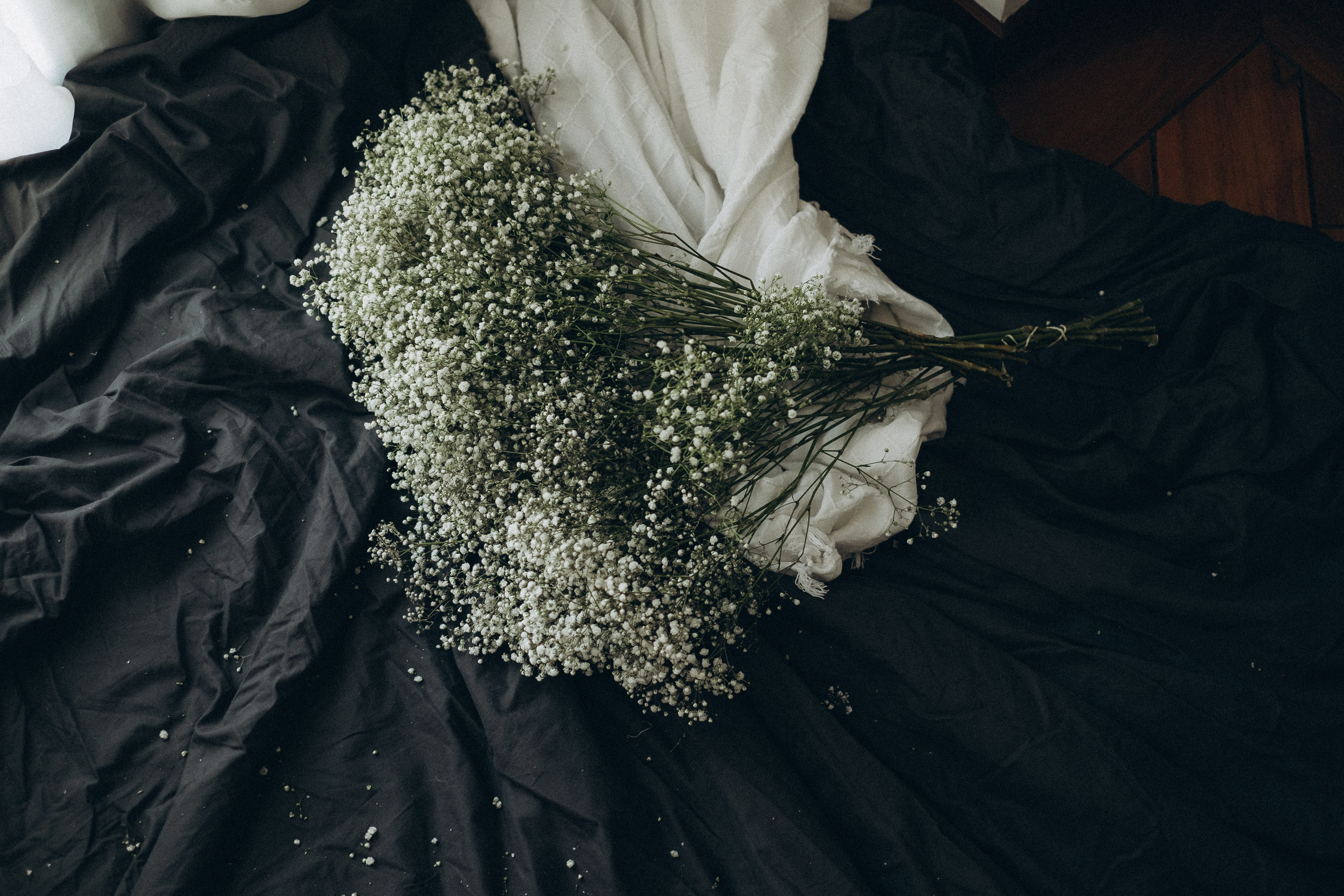 Julia. Fotografo de familia en Quito Anastasia Eliseeva