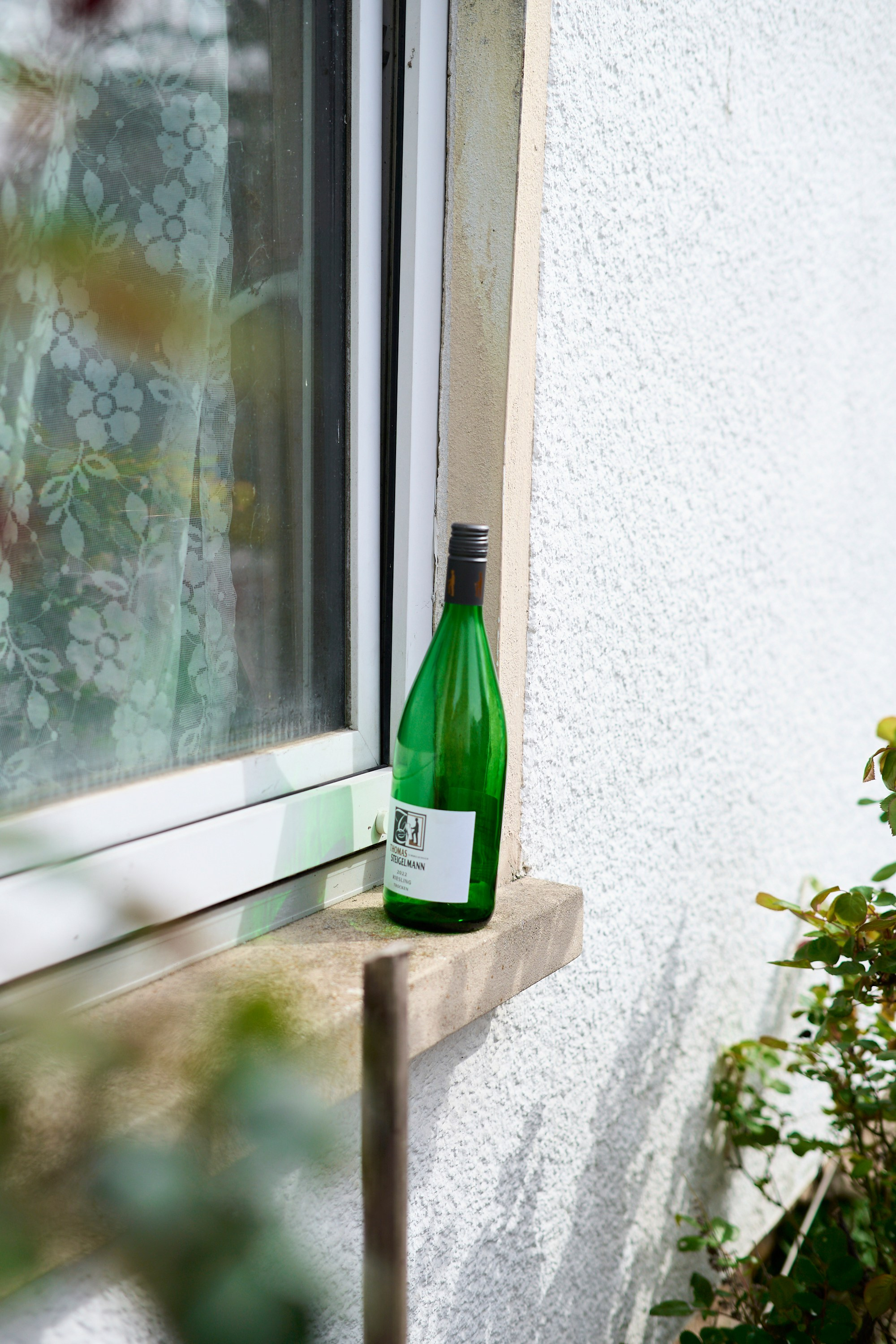 Mandelblütenfest (Gimmeldingen) 2024. Aleksandr Steinbrenner | Streetfotografie