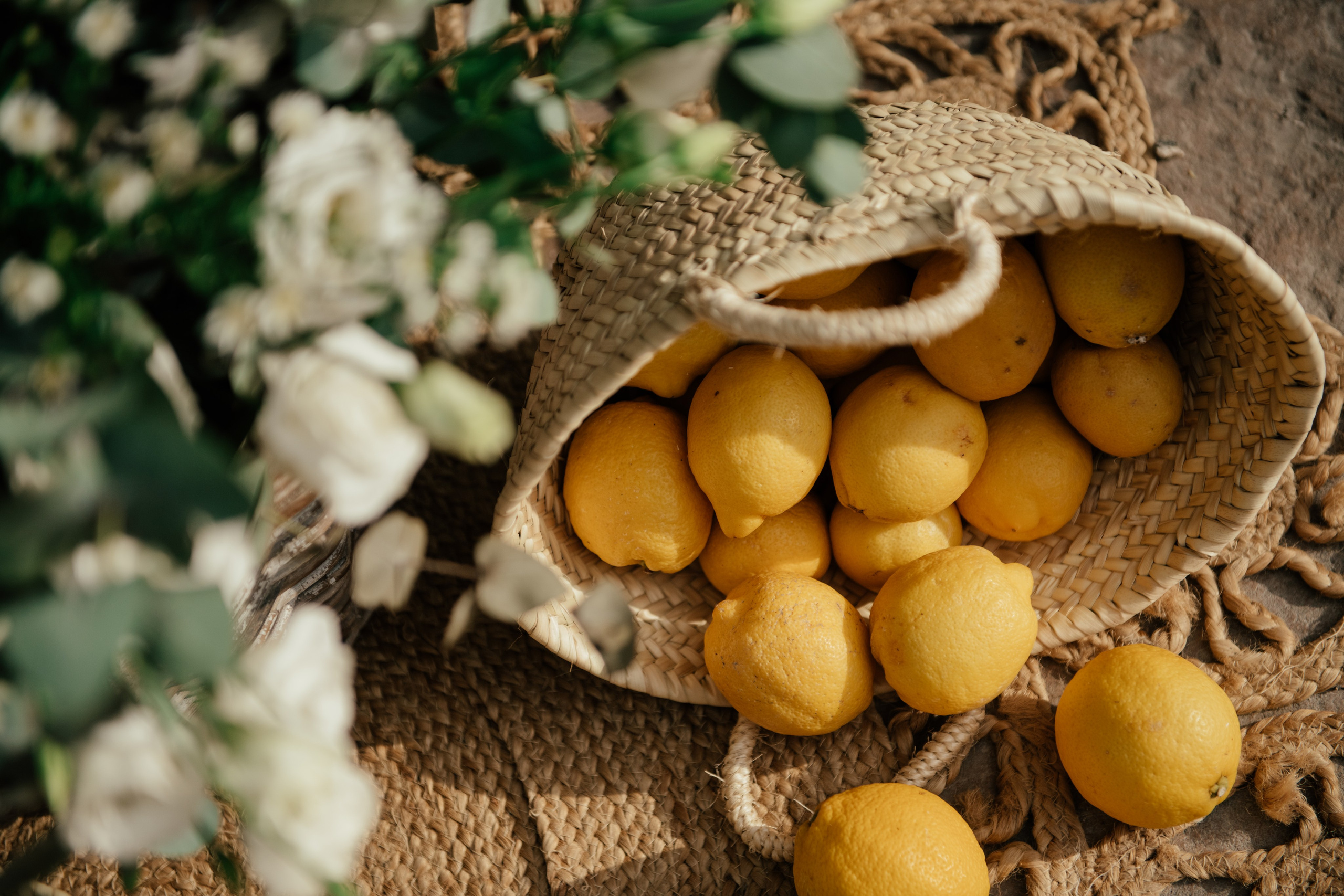 Alicia & Marc (Finca Marques de Montemolar)