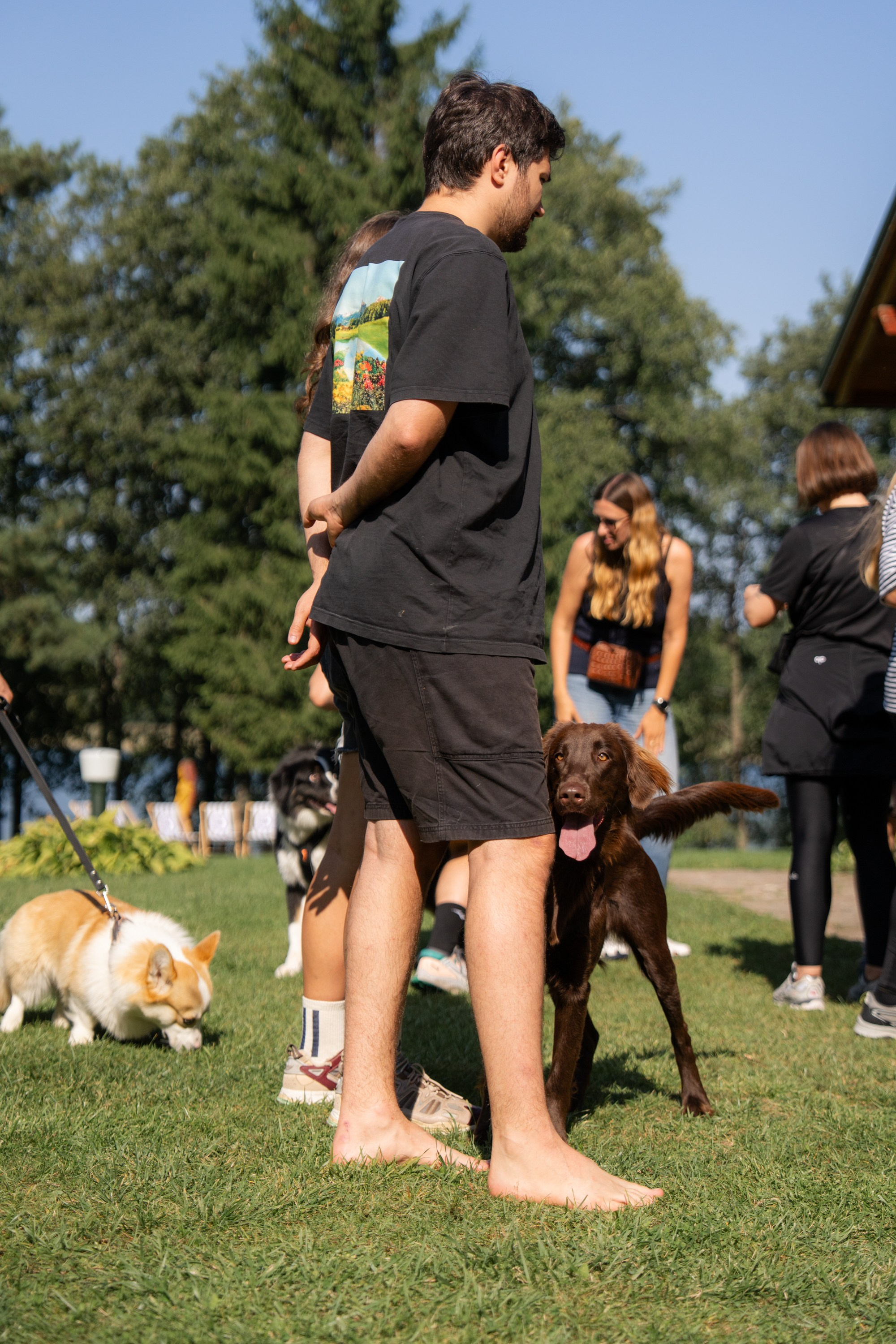 Heppi Dogo fest 2025. Vita Klimaševska ○ Fluffy Soulmate Photography