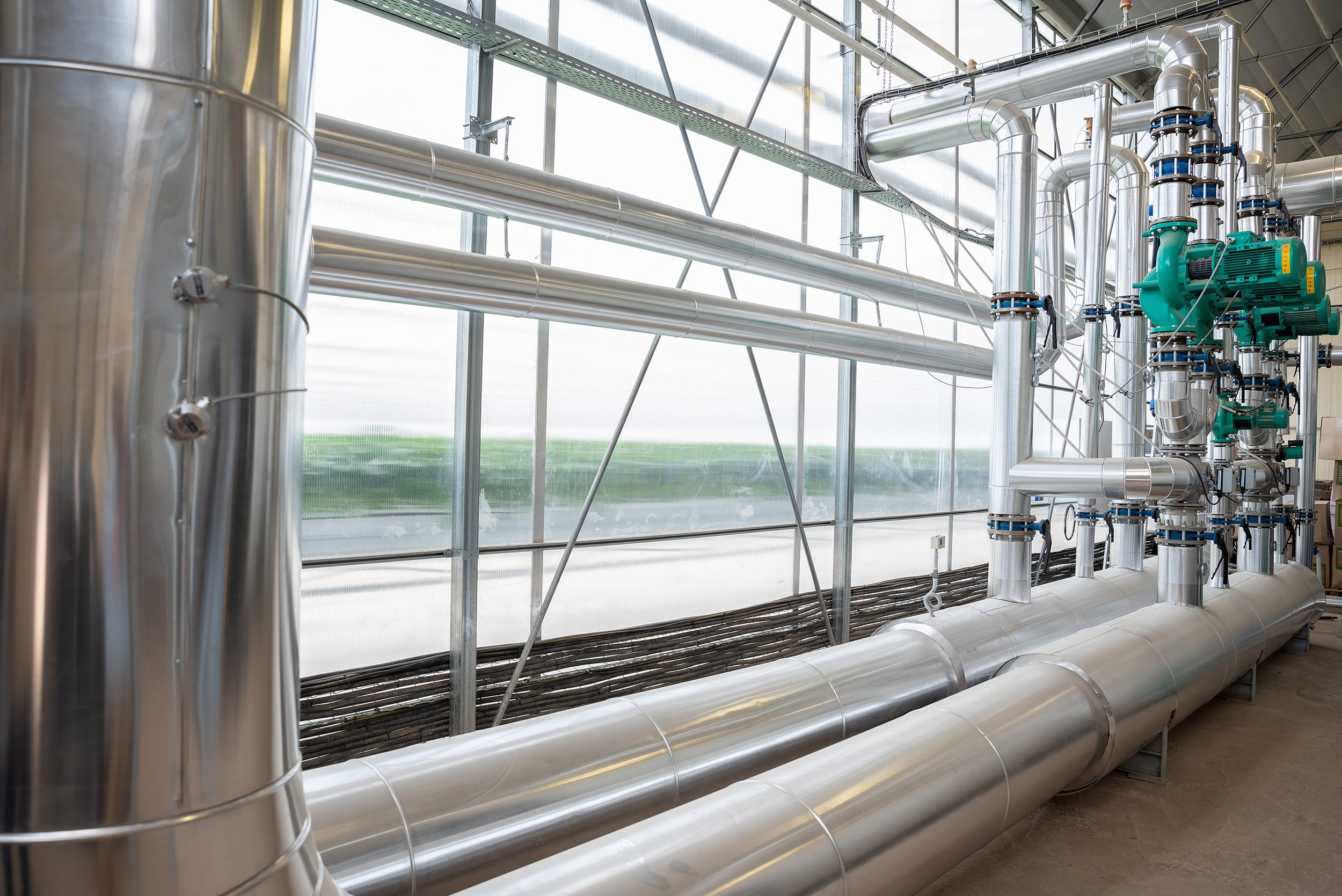 Rockberry. Фотограф в Ереване