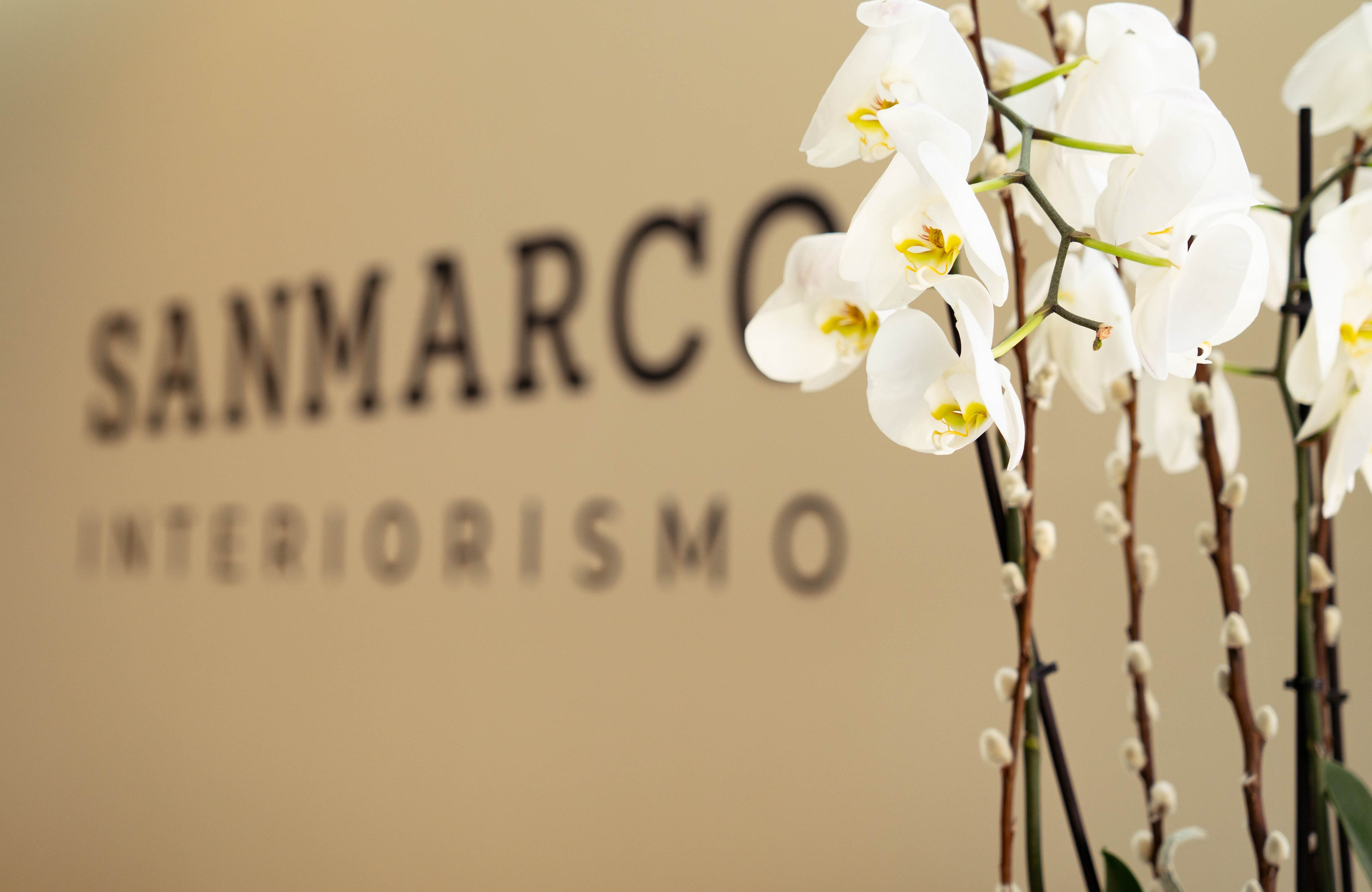 SANMARCO interior design. Baby Beast