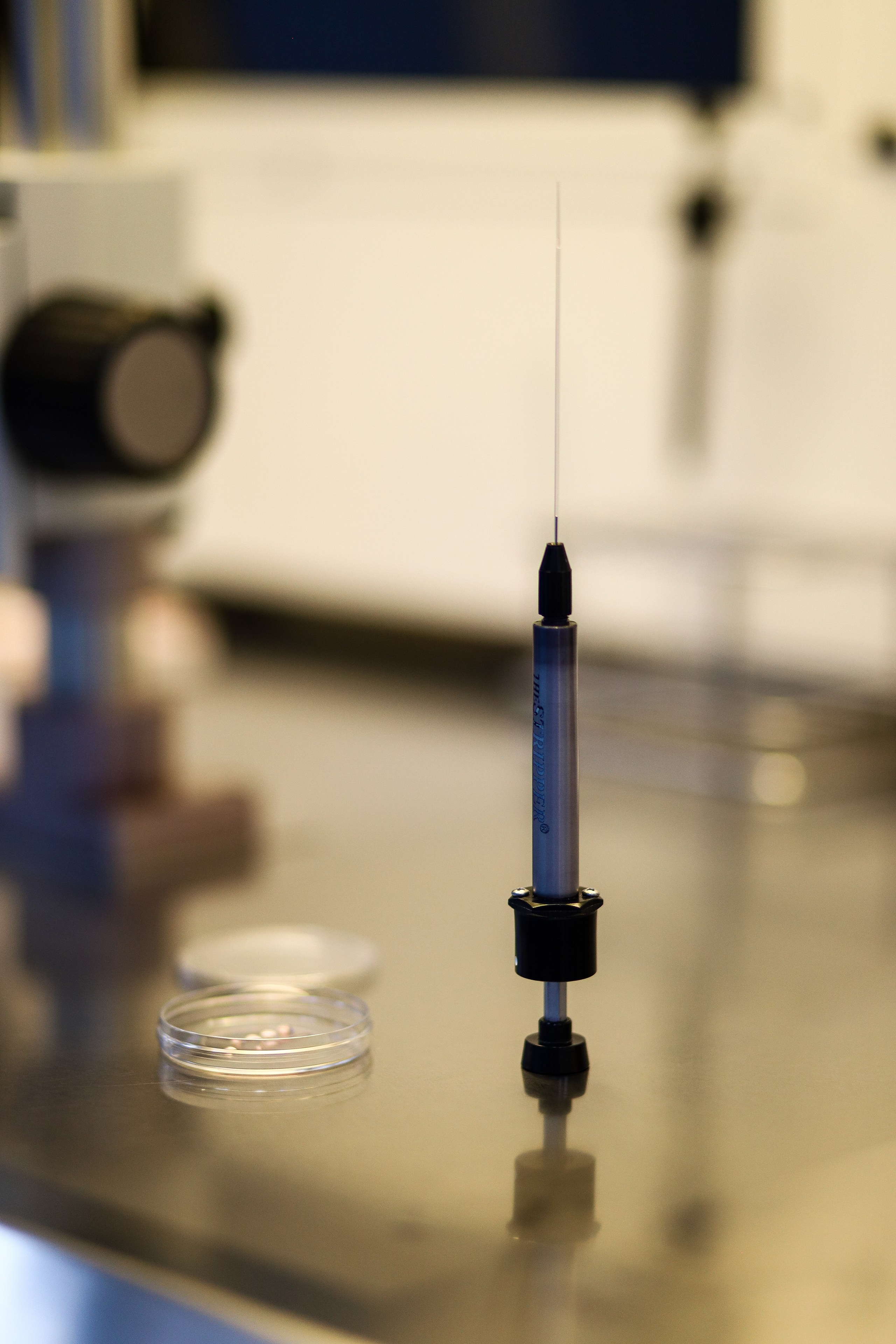 Business. Portrait and family photographer in Fort Collins Dania Gaisina