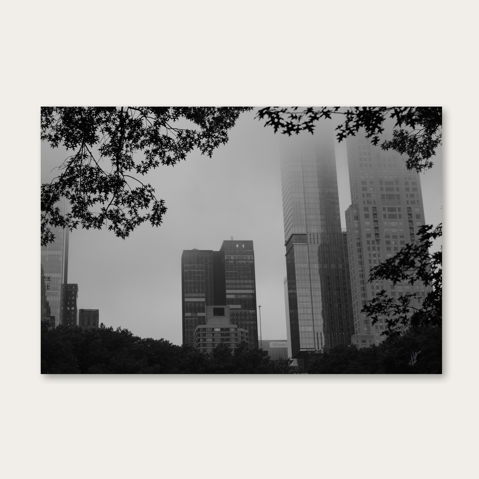 NYC, Central Park, 2025. Fuad Shafiyev