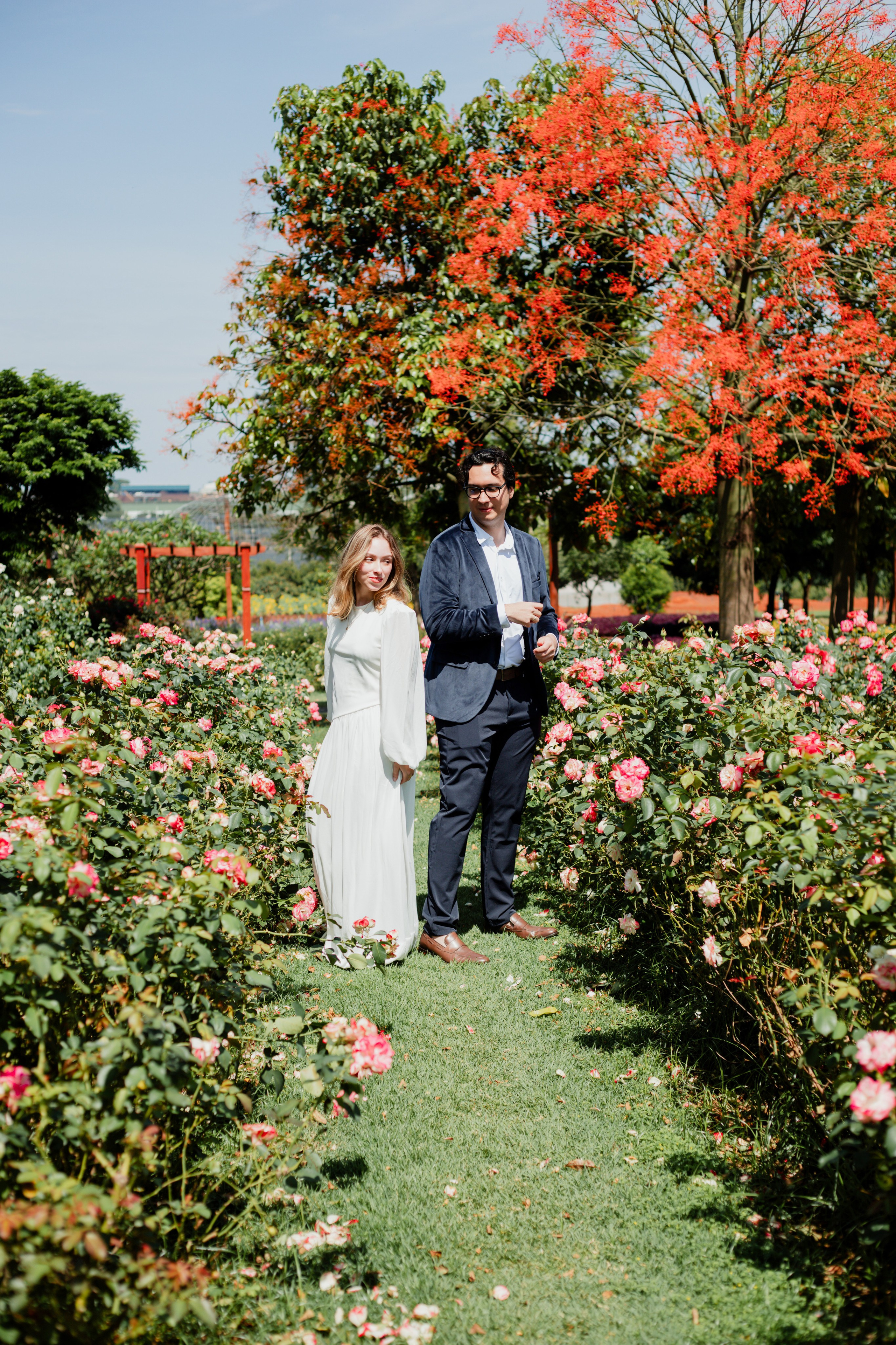 Pedido de Casamento /Bloemen Park. Joyce Maria Fotografia | Fotógrafa em Holambra