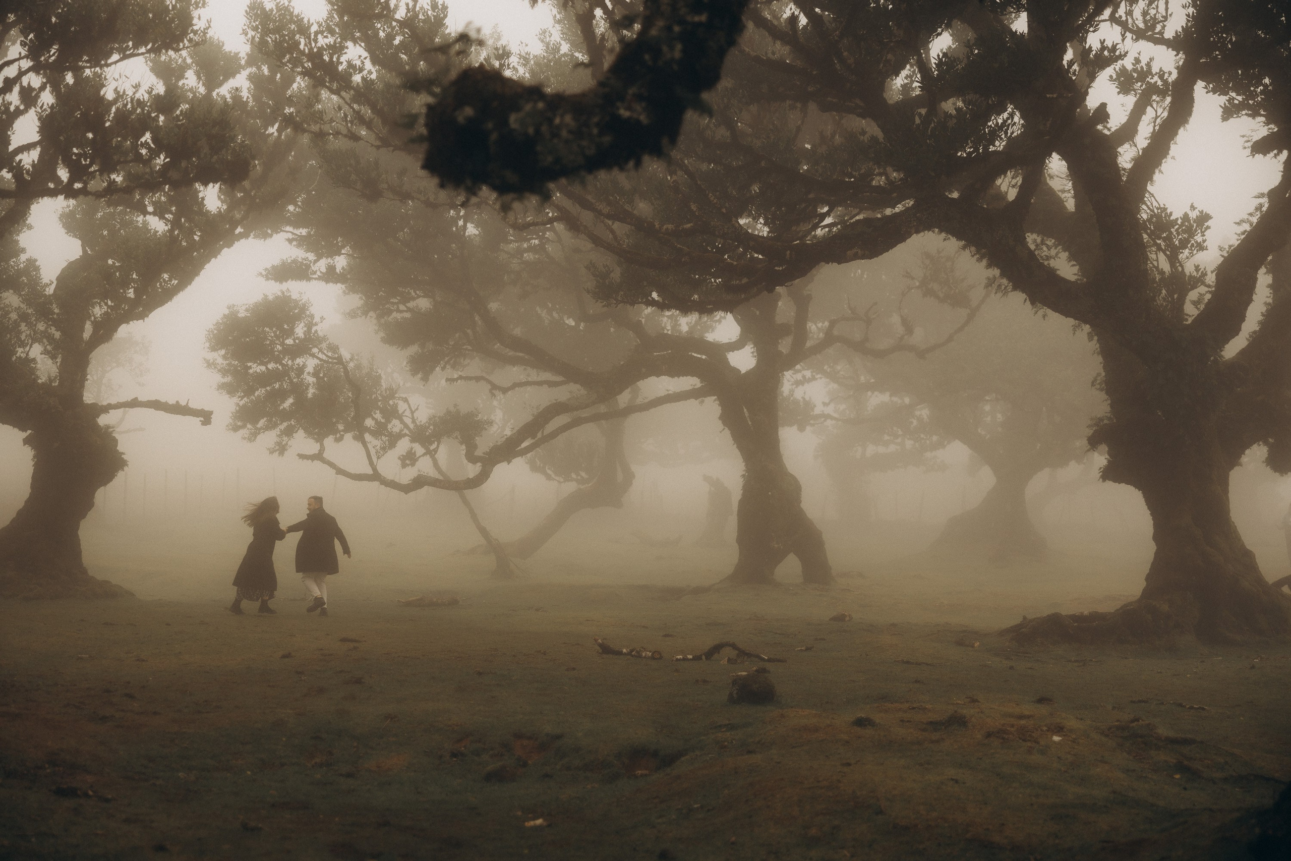 Couple photoshoot in Fanal Forest Madeira PortugalA romantic couple standing amidst the ancient laurel trees of Fanal Forest, Madeira, surrounded by a mystical fog that adds an ethereal touch to the scene