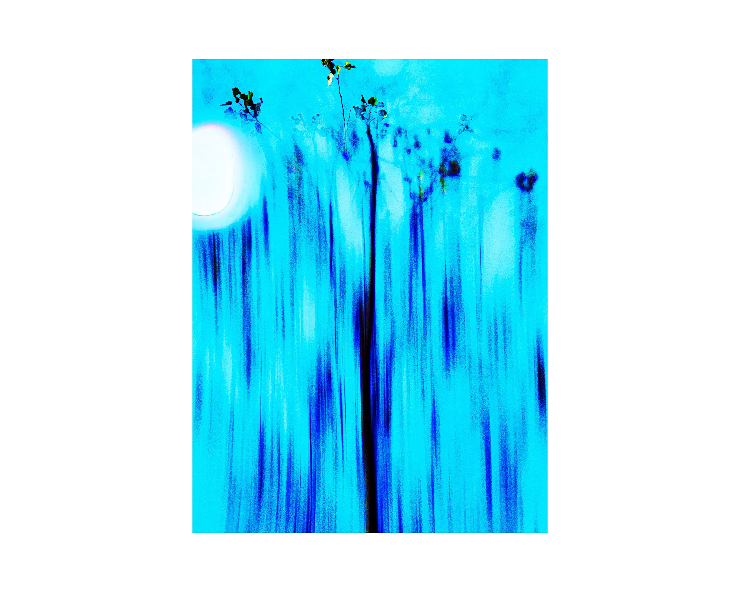 Nature from Exaggerated Worlds. Ekaterina Tsurkina-Appina Photography Canada