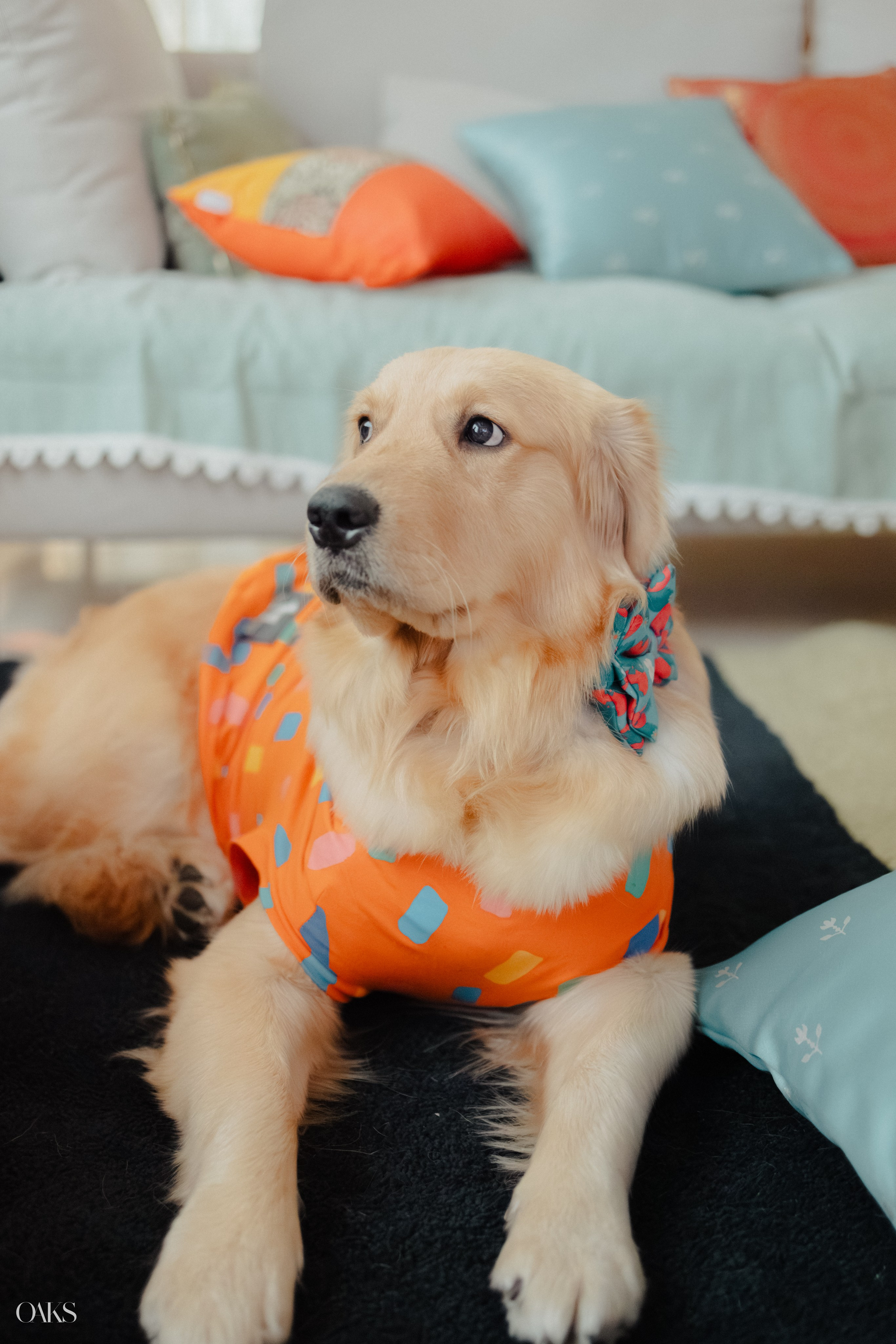 Prerna & Kunal. Wedding & Editorial Photographer | Anandshivadas