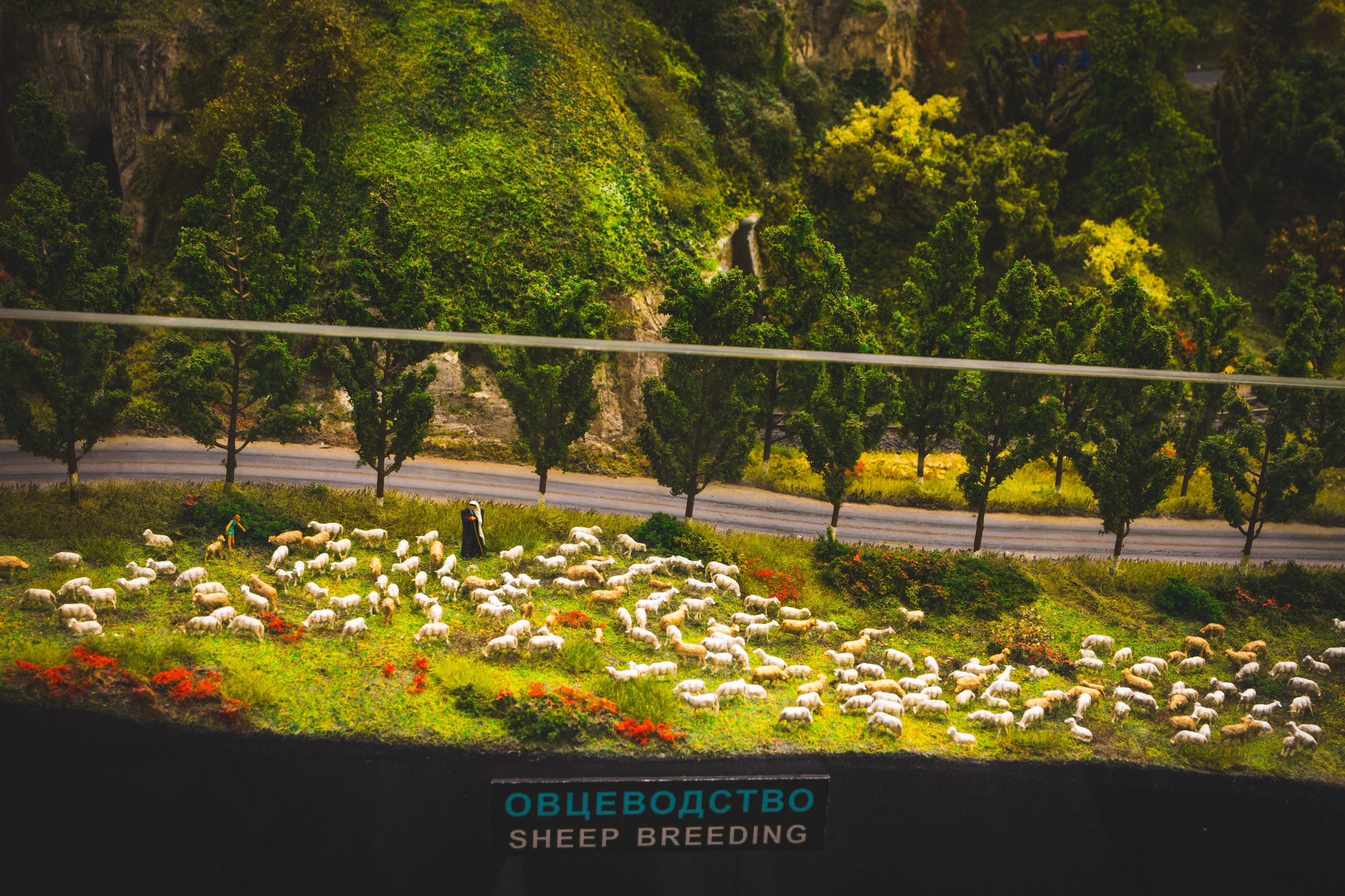 Puhkus Peterburis (Ermitaaž, Shadow muuseum, Grand Maket Venemaa, ArtMuza). Nebula 25 — Fotod teie hingele