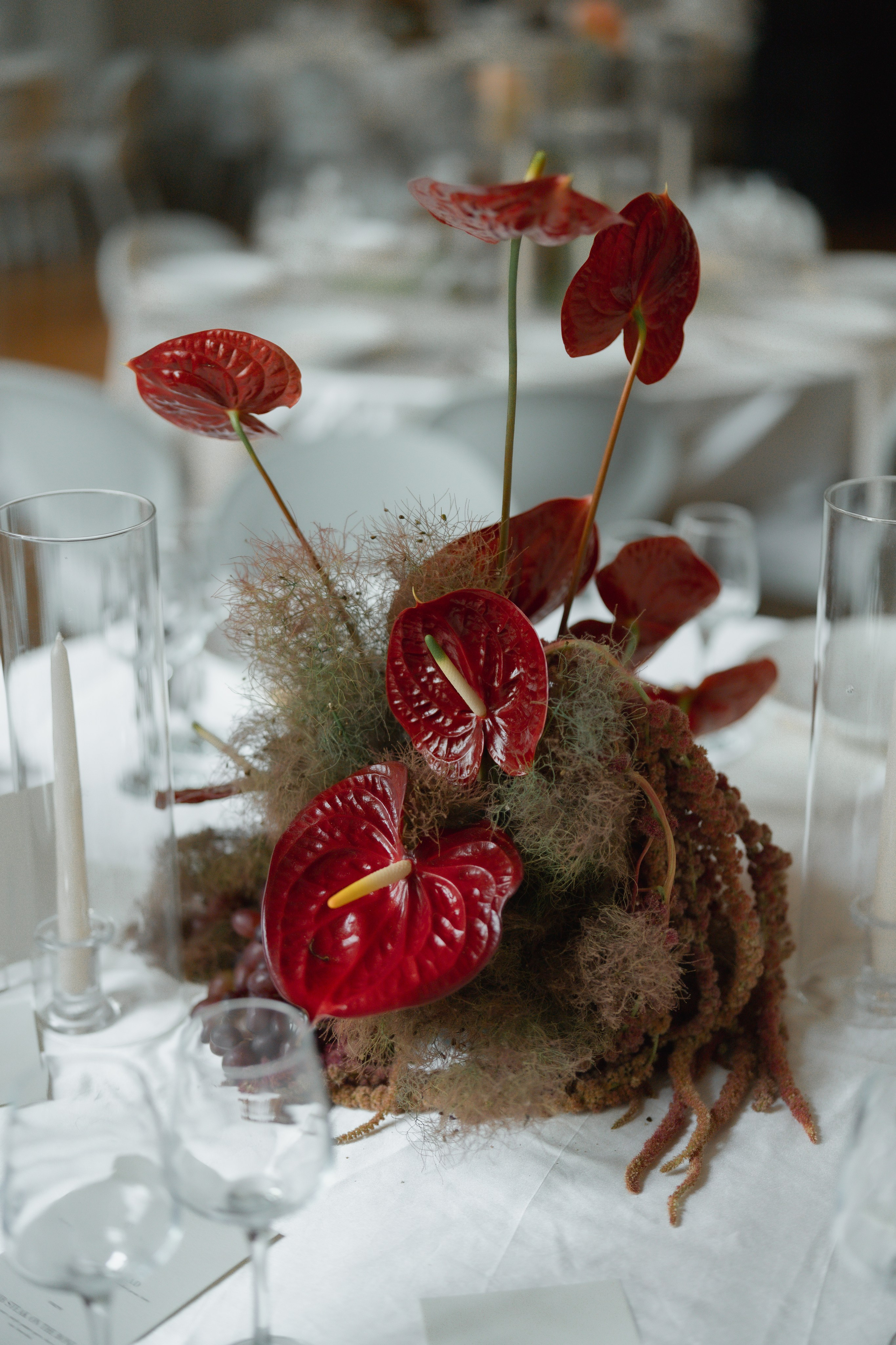 Amir and Maya. Anna Krasnova Wedding photographer