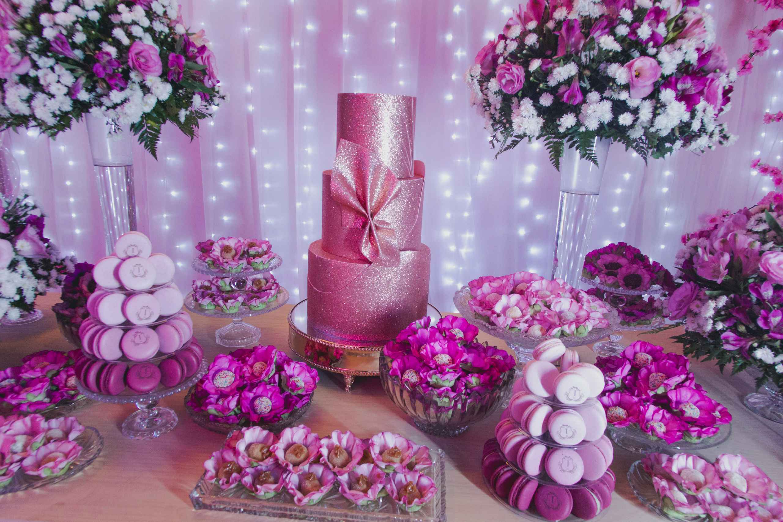 15 Anos de Isadora. Fotógrafos de casamento. empresas, família em Catanduva SP e região, Casal Gonçales