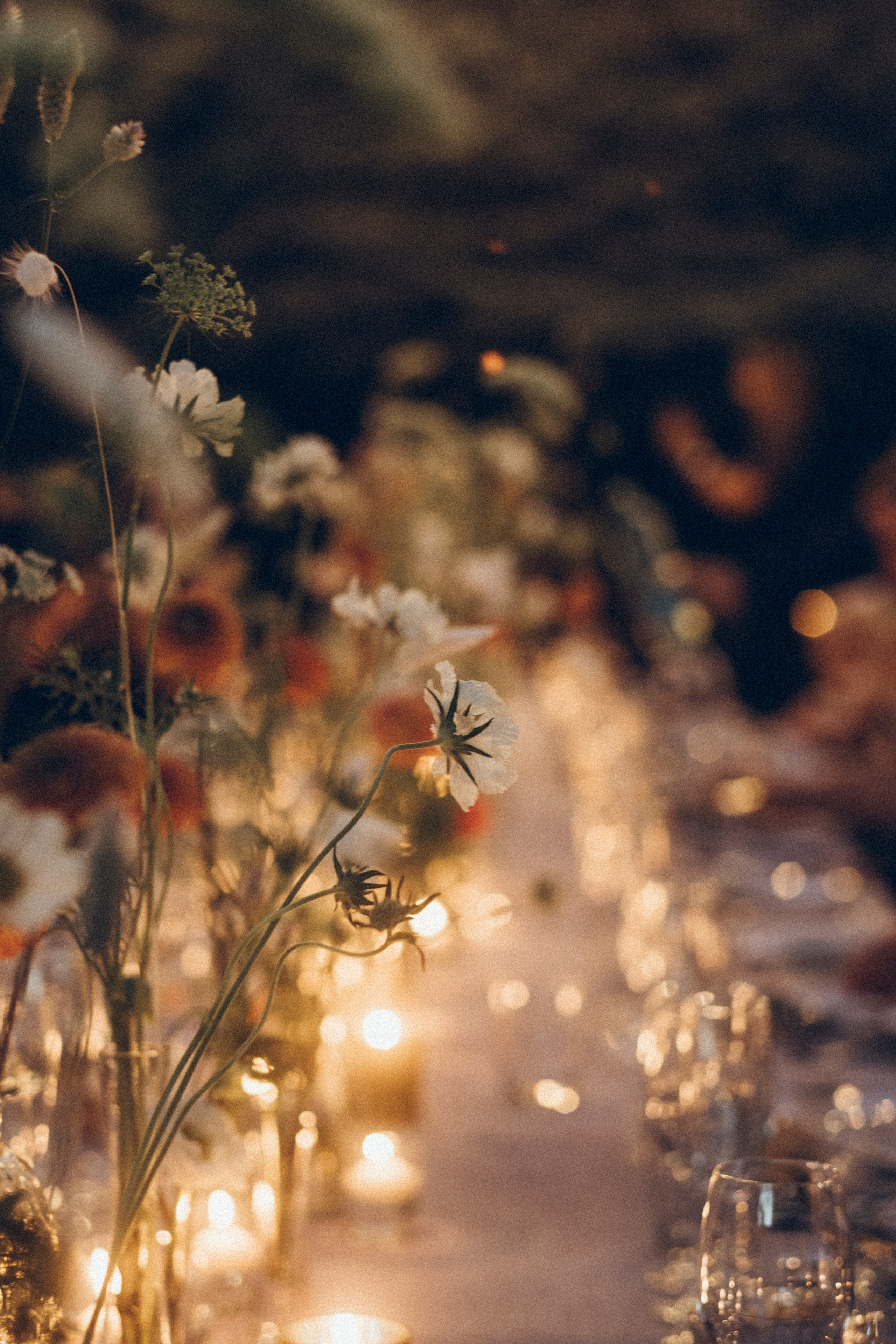 Nadezhda & Dmitry. Masia Mas Coll. Paola wedding photographer / videographer in Barcelona