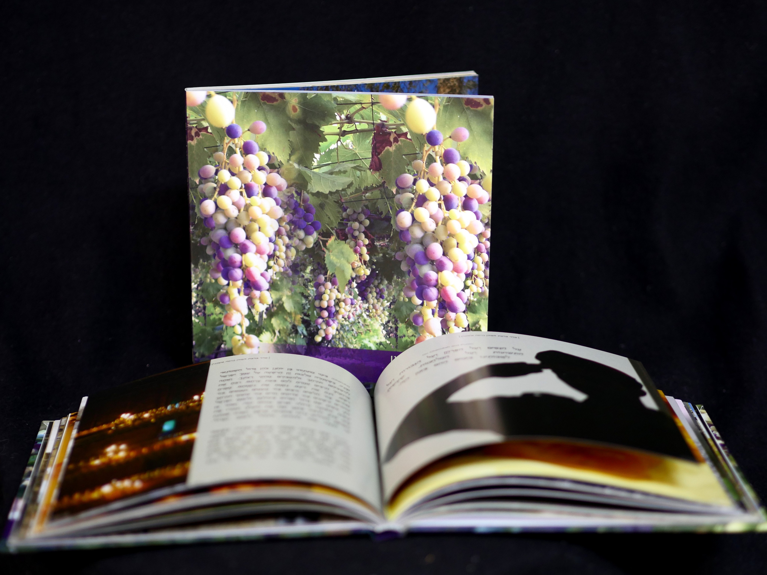 Books. Portrait & Event photographer in Israel — Rebecca Kowalsky