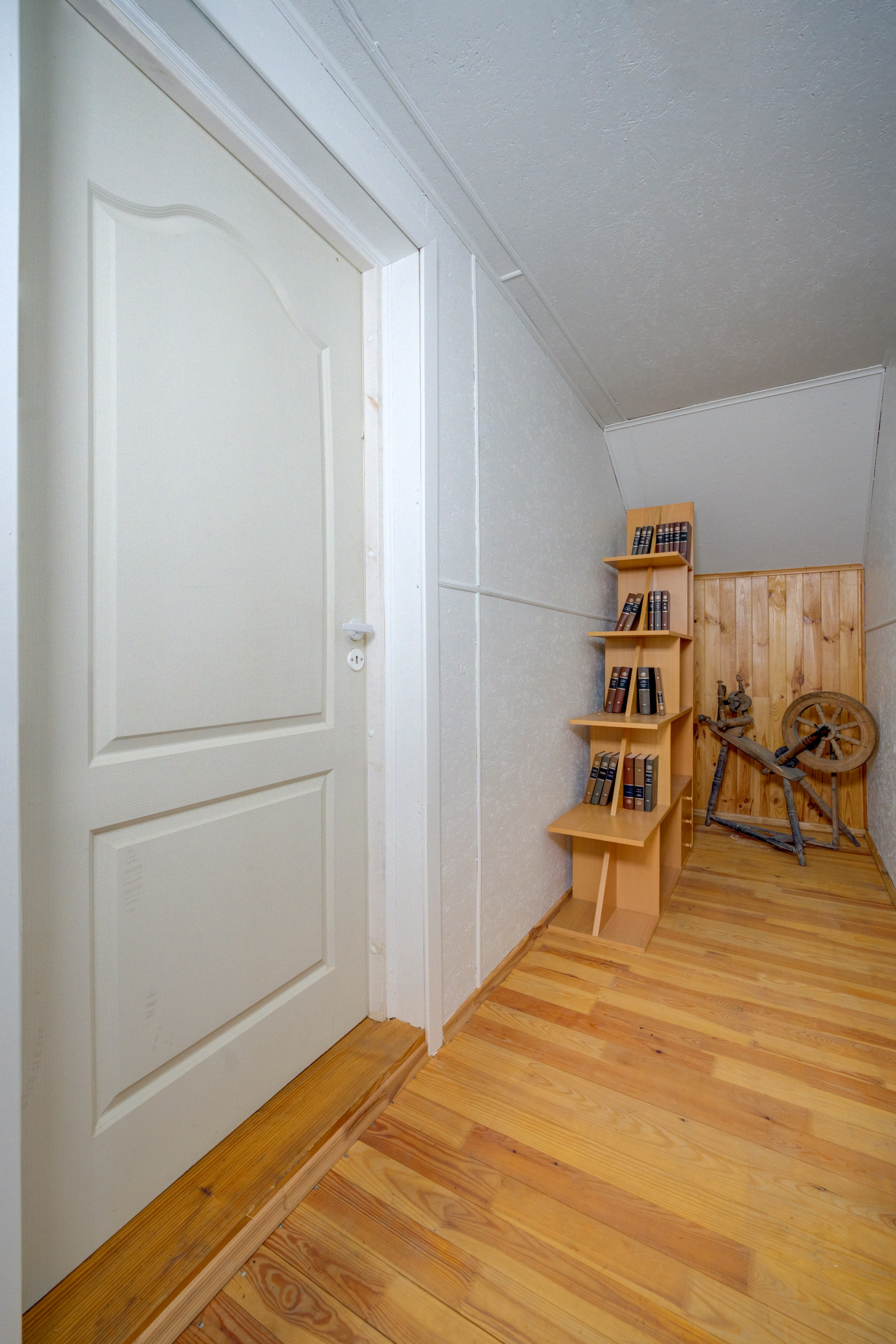 Varėnos raj. Elina Sapiega fotografė Vilniuje