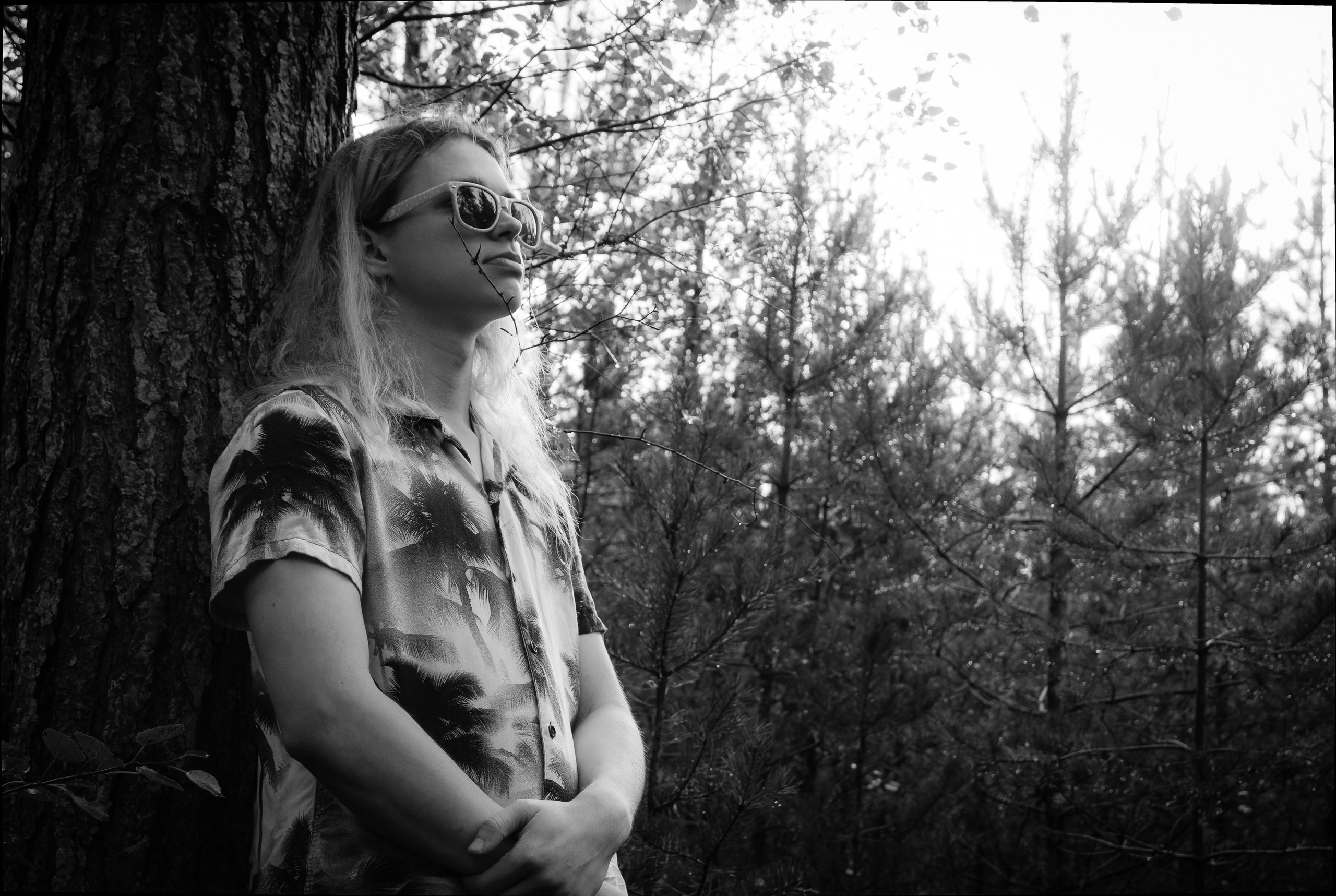 Mets, vihm ja jahedus (Dimitry). Nebula 25 — Fotod teie hingele