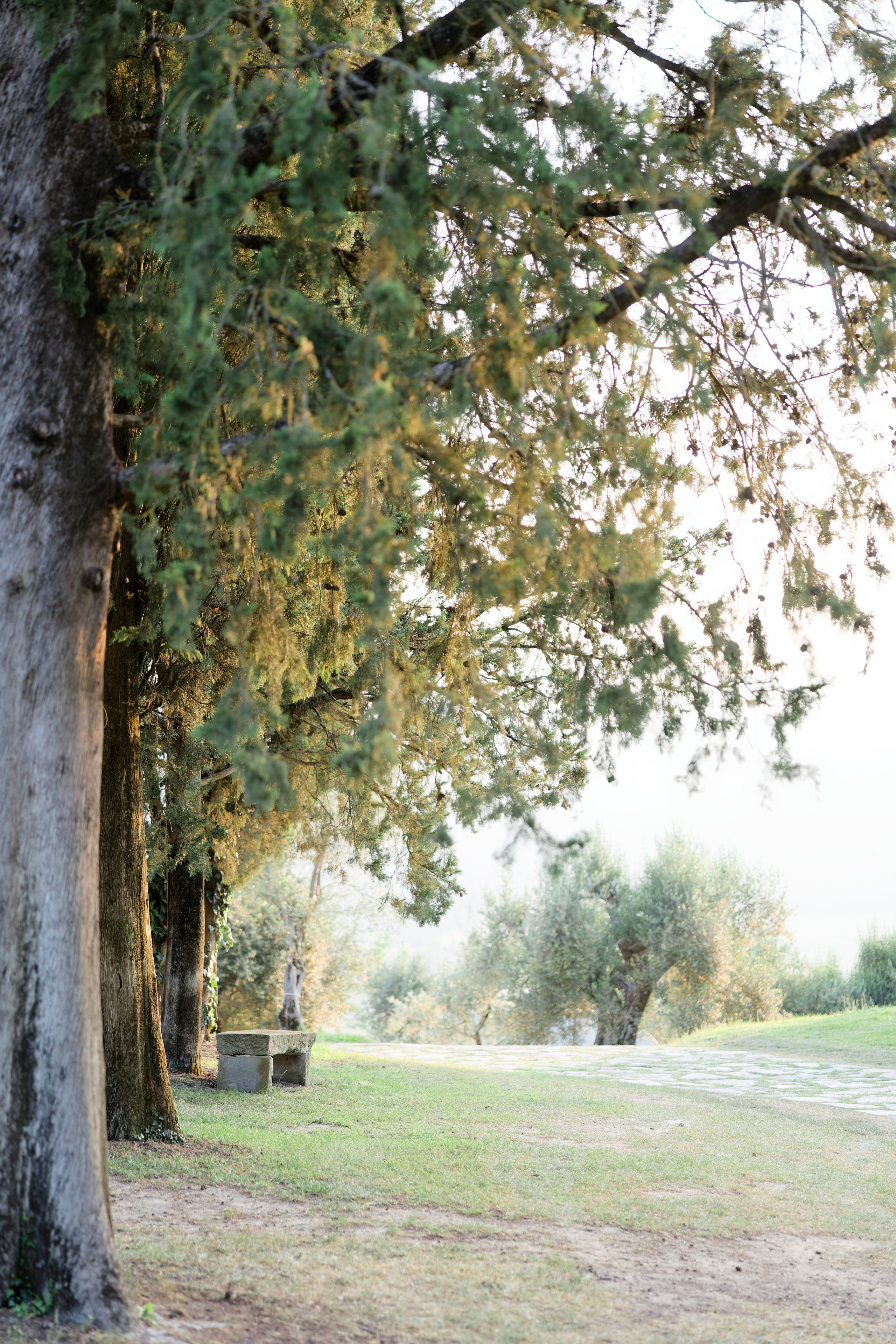 Wedding at Borgo Bastia Creti, Umbria