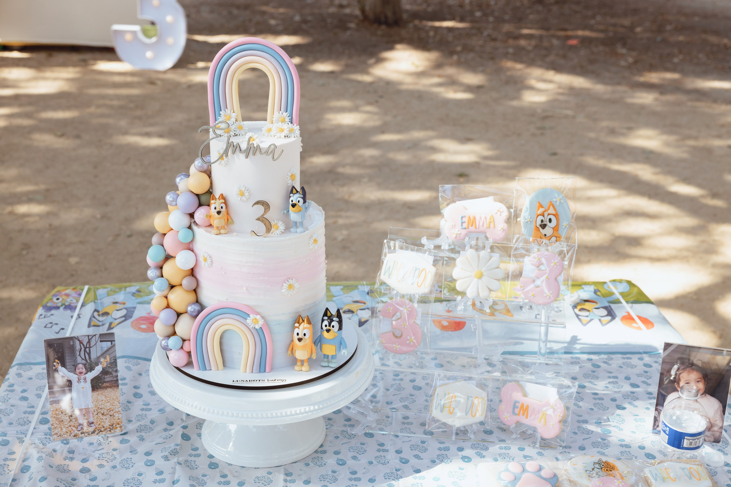 3rd birthday. Family and Event photographer in Bay Area Elena Tiuriumina