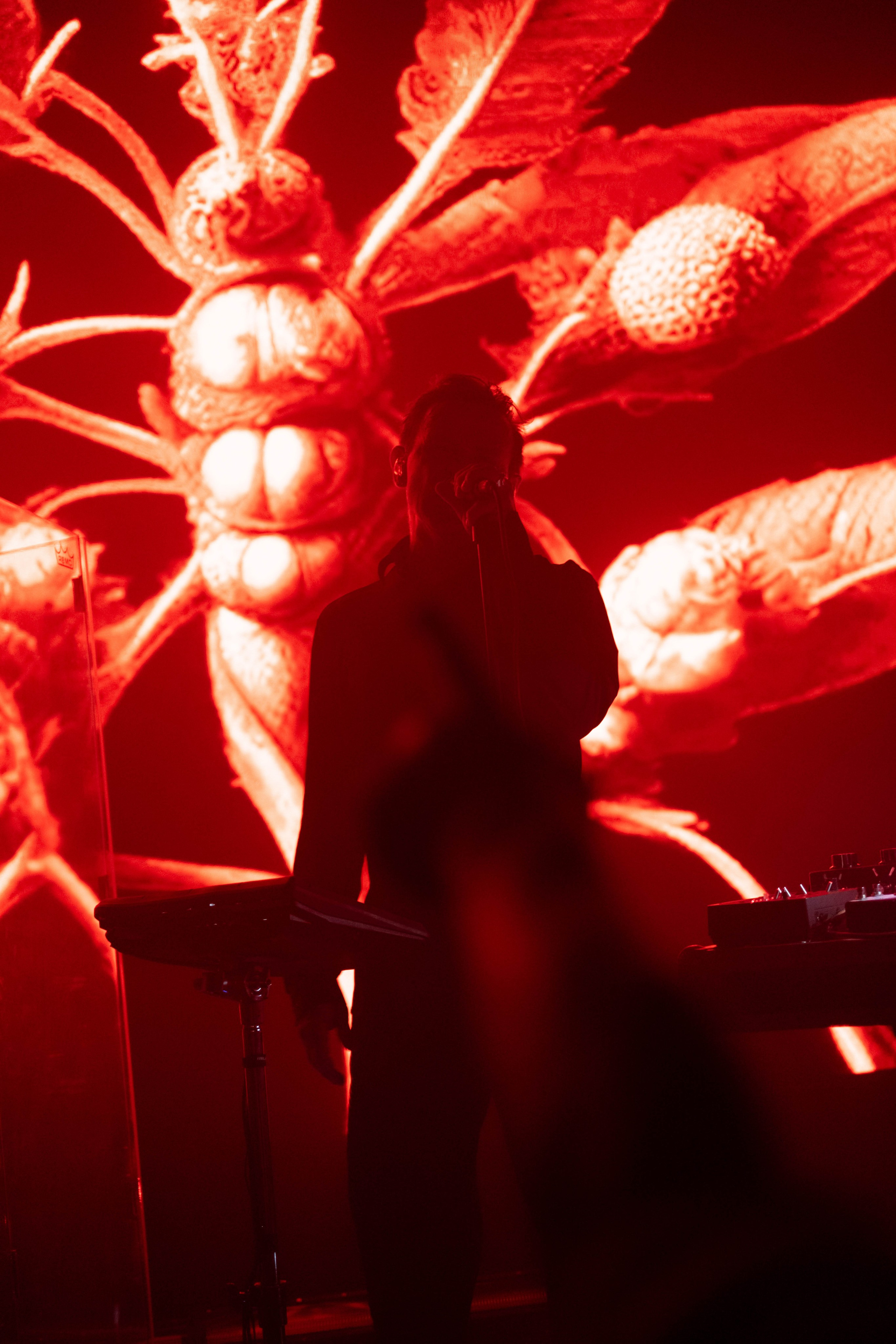 Dolphin @ 7 Fridays @ 06.05.25