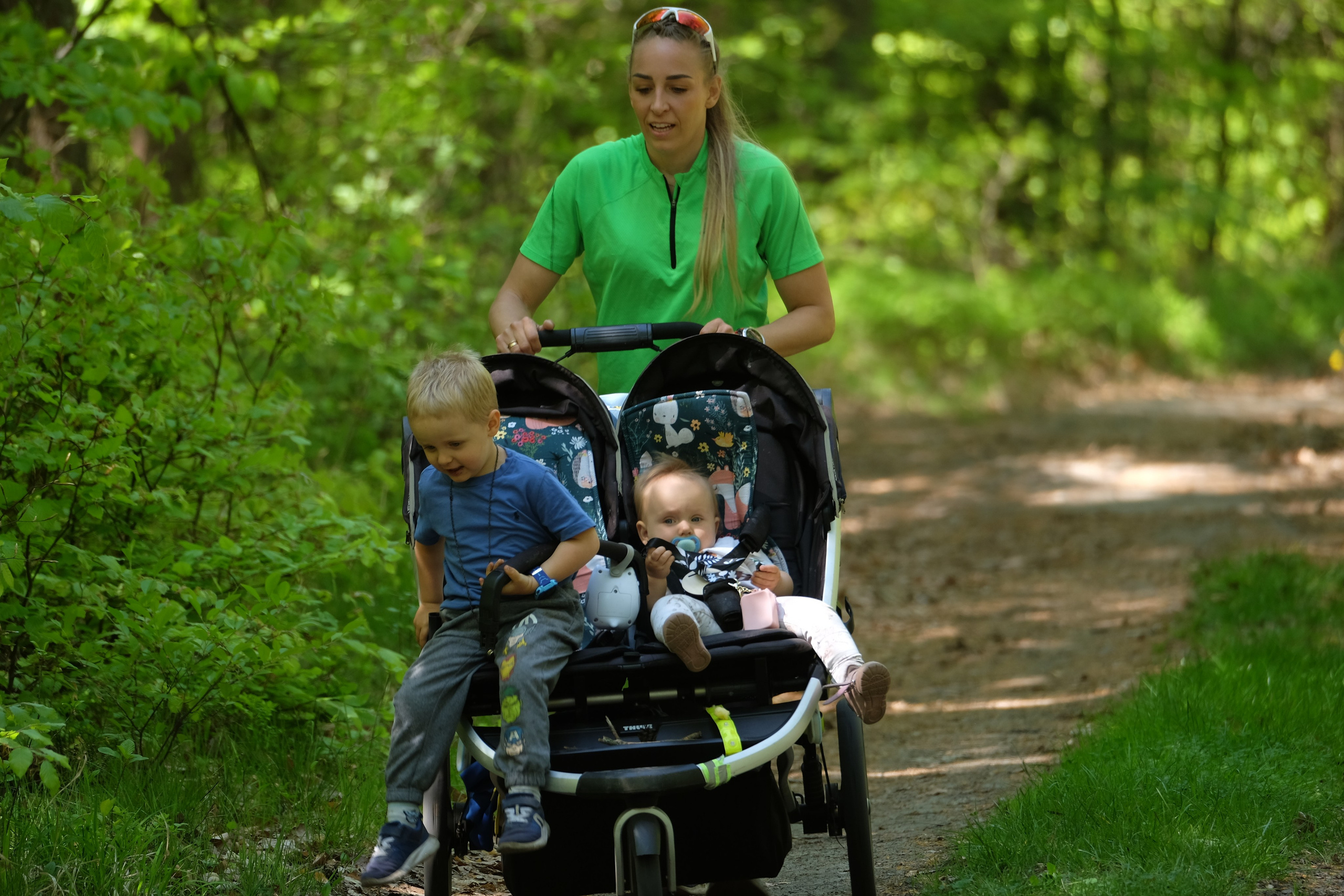 Aleksandryjska Piątka po lesie. Main
