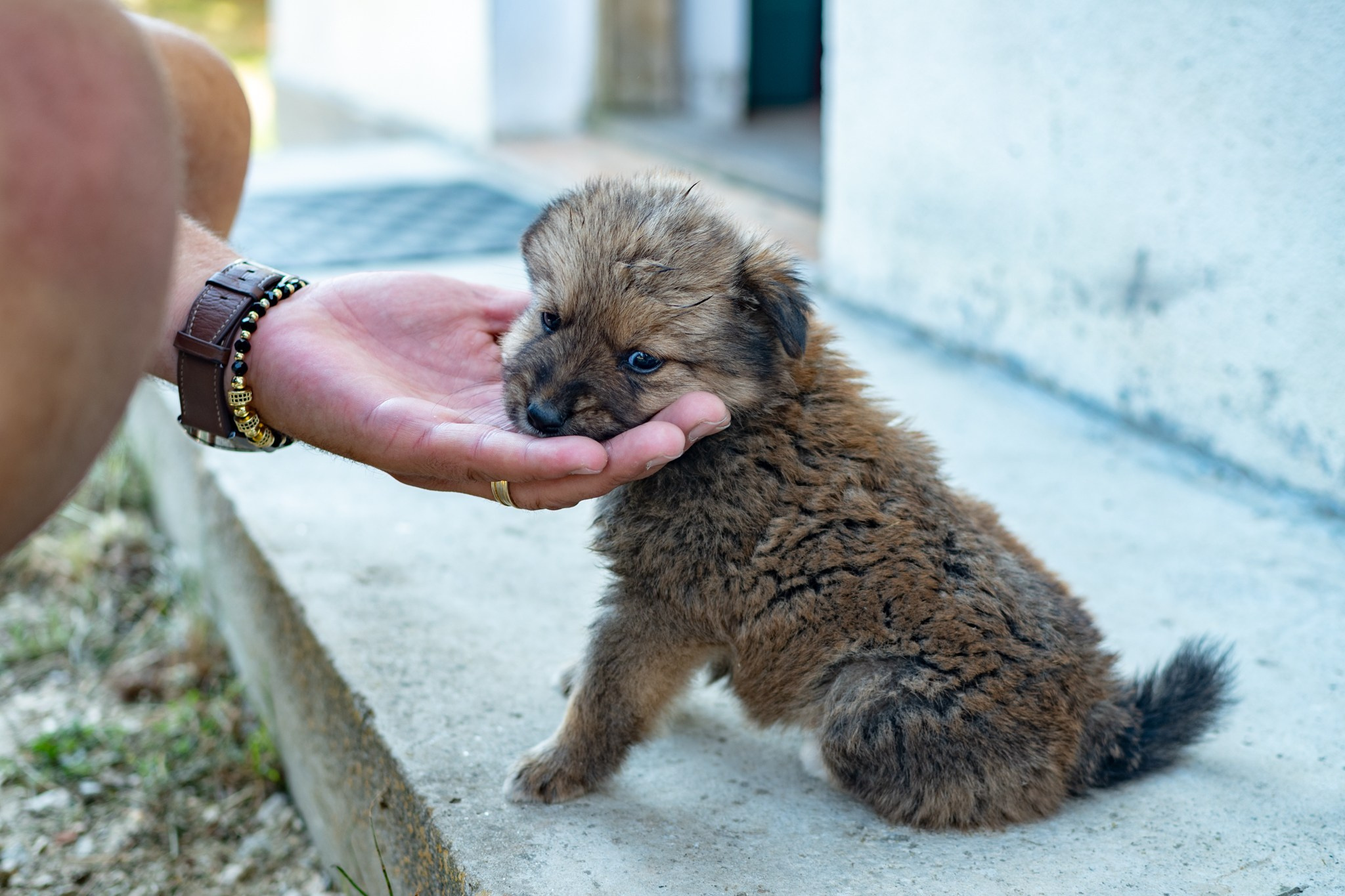 BOTEZ. Fotografie și videografie de nuntă în Romania
