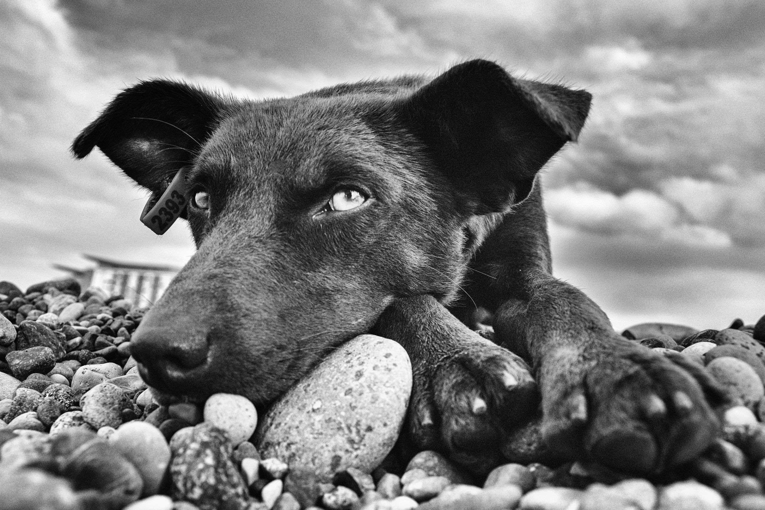 Работы учеников. Фотограф и преподаватель фотографии в Белграде