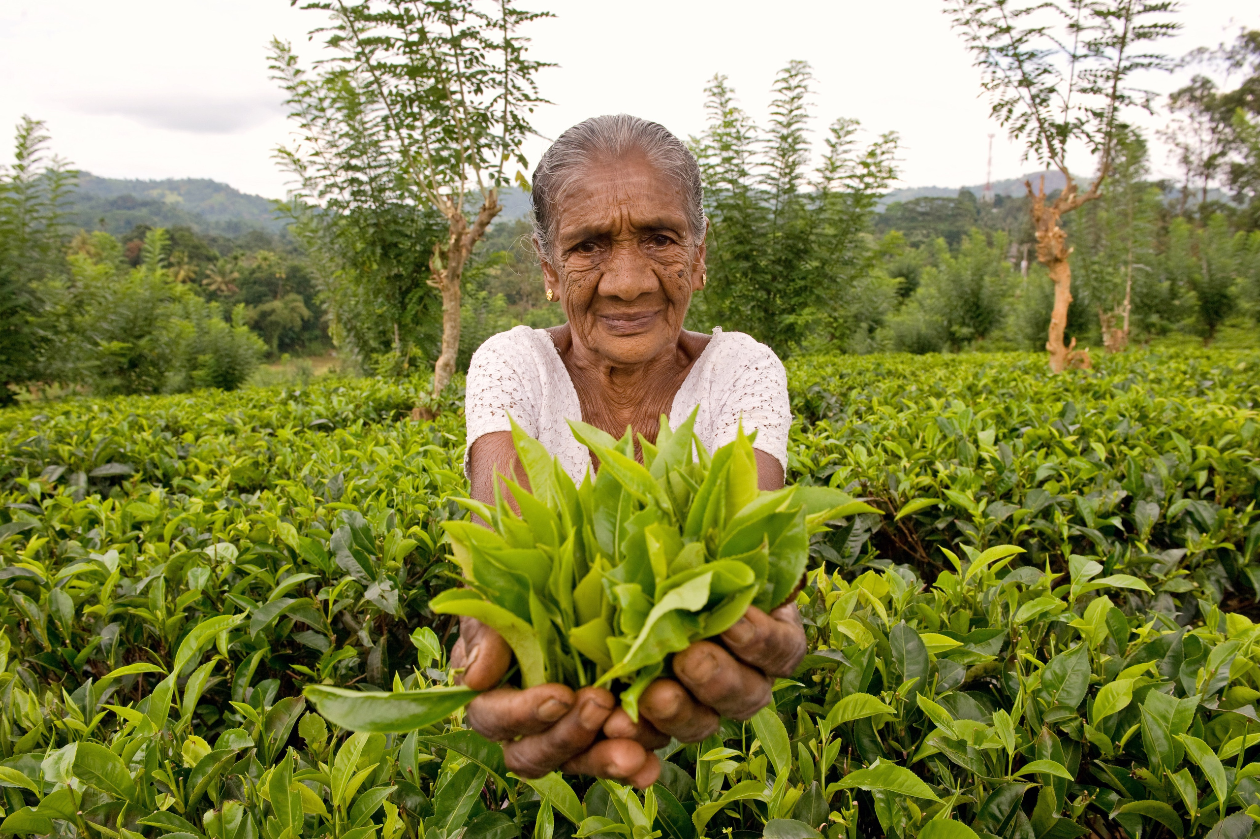 ТРЕВЕЛ. Фотограф и преподаватель фотографии в Белграде