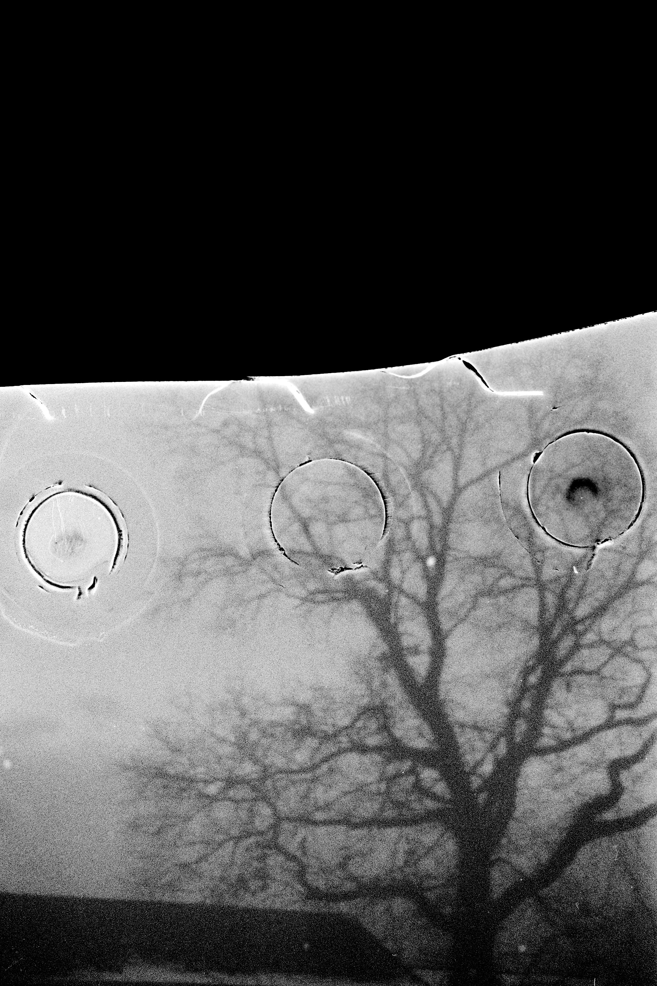 36½. Nina Kordes - Visual Artist