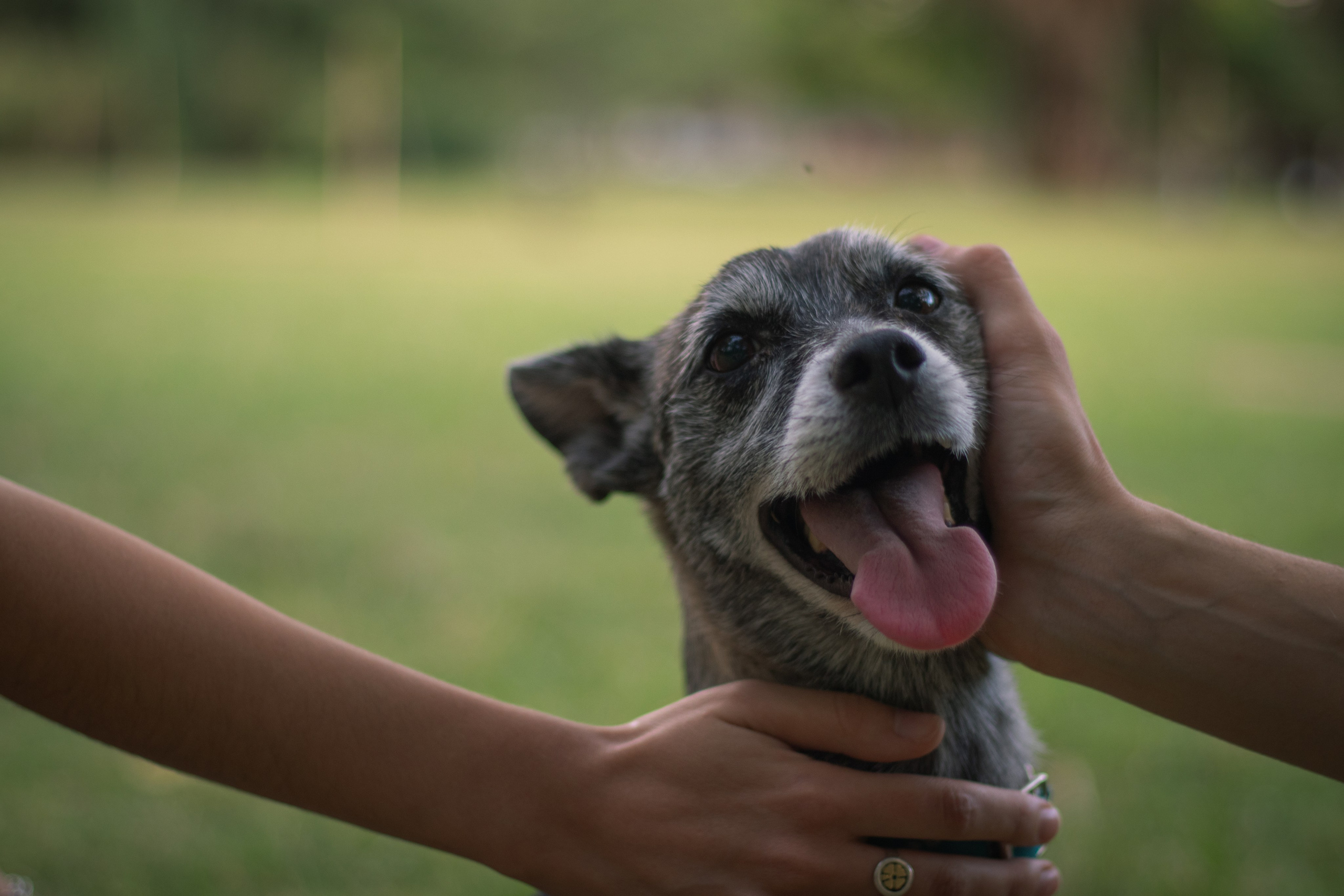 Maya & Pablo. Fotógrafo en Mendoza Alexander Safonov