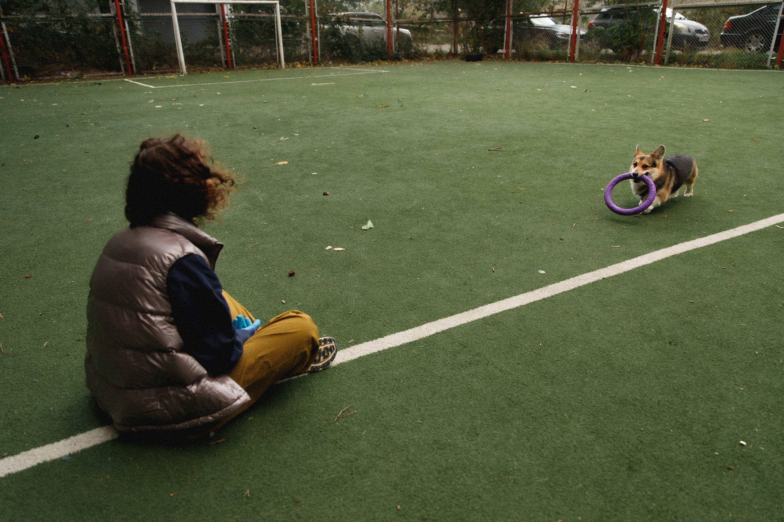 Sasha & Leonid. Kaja | fotograf psów we Wrocławiu