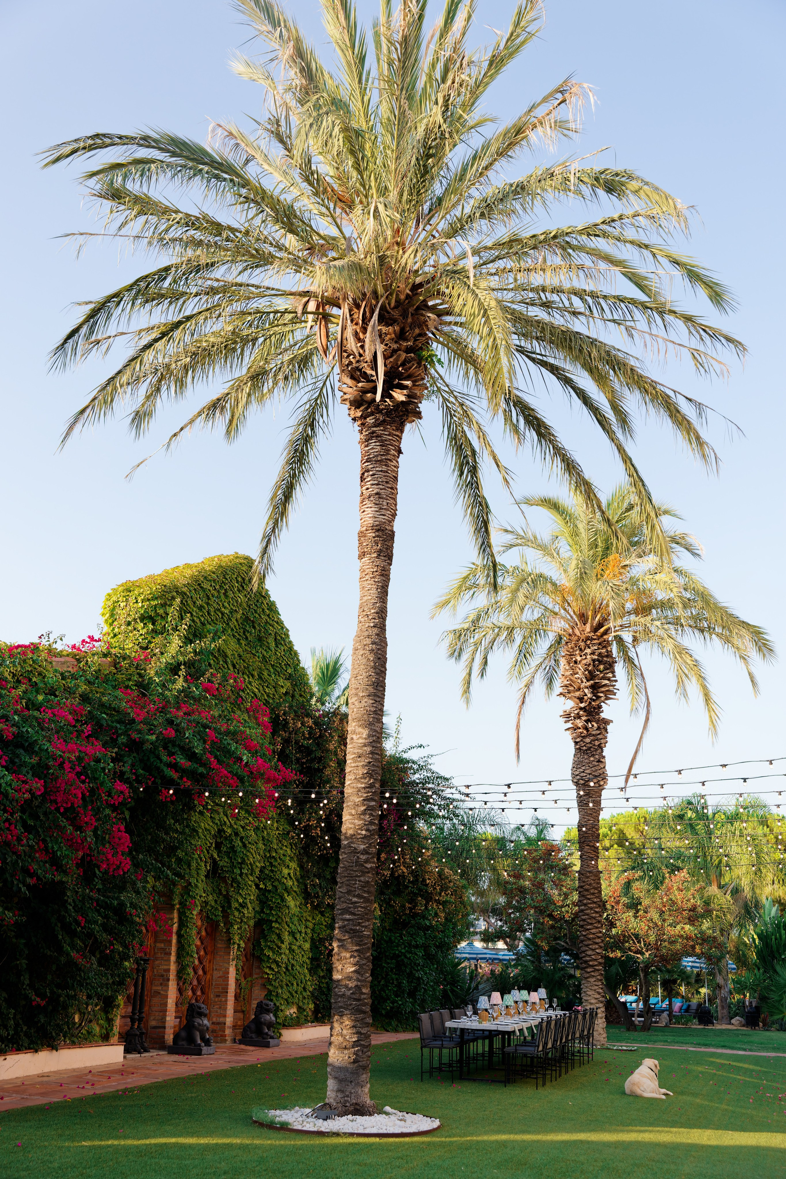 Haldi Ceremony & Mehndi Night & pre-wedding dinner, Barcelona