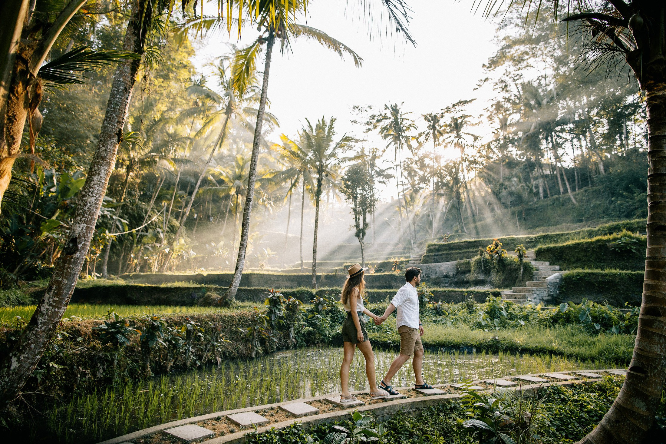 Rice terraces + waterfall. Getitfeel — Aesthetic Photography and Videography