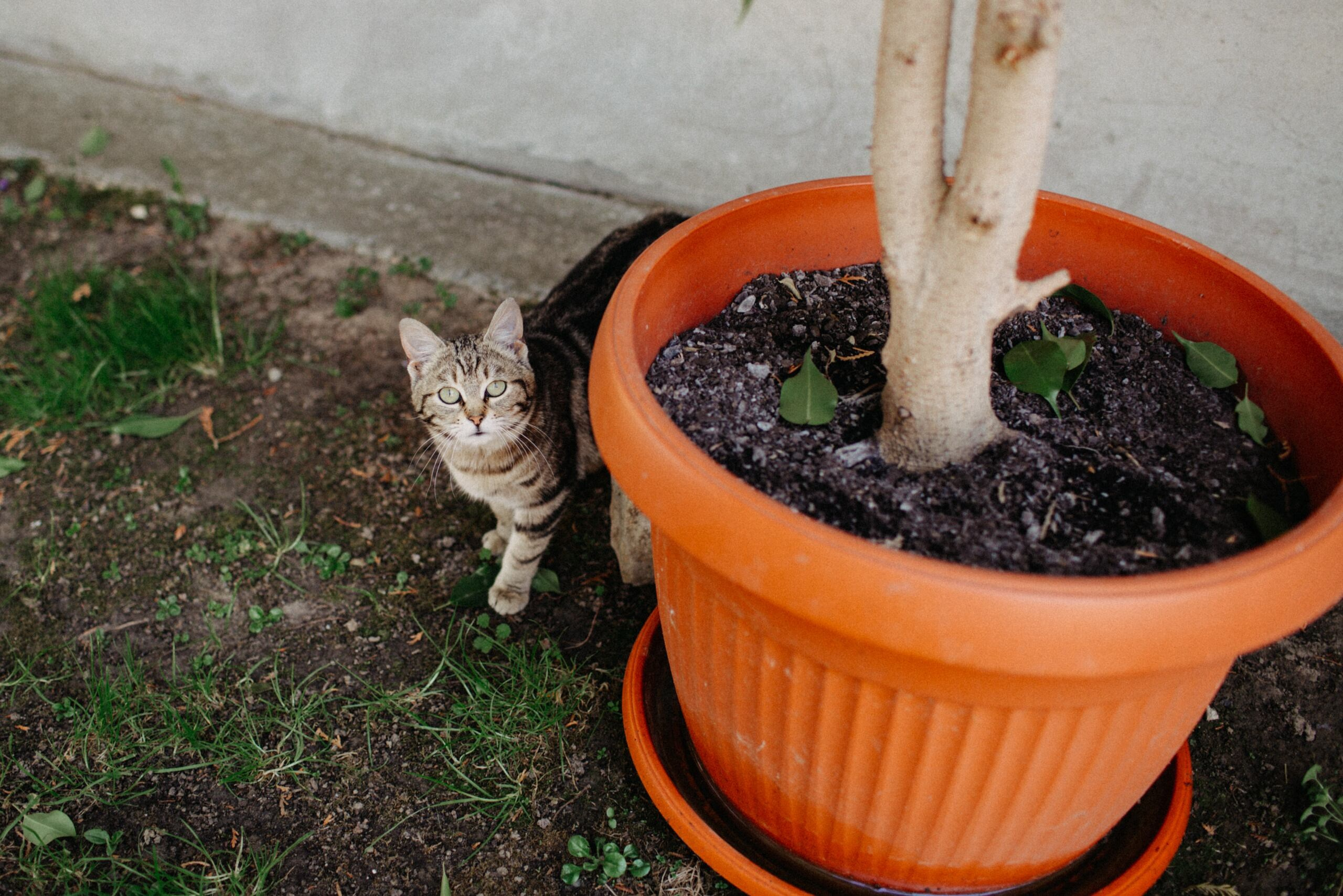 Teodora & Nikola. Wedding photographer based in Novi Sad, Marko Milivojevic