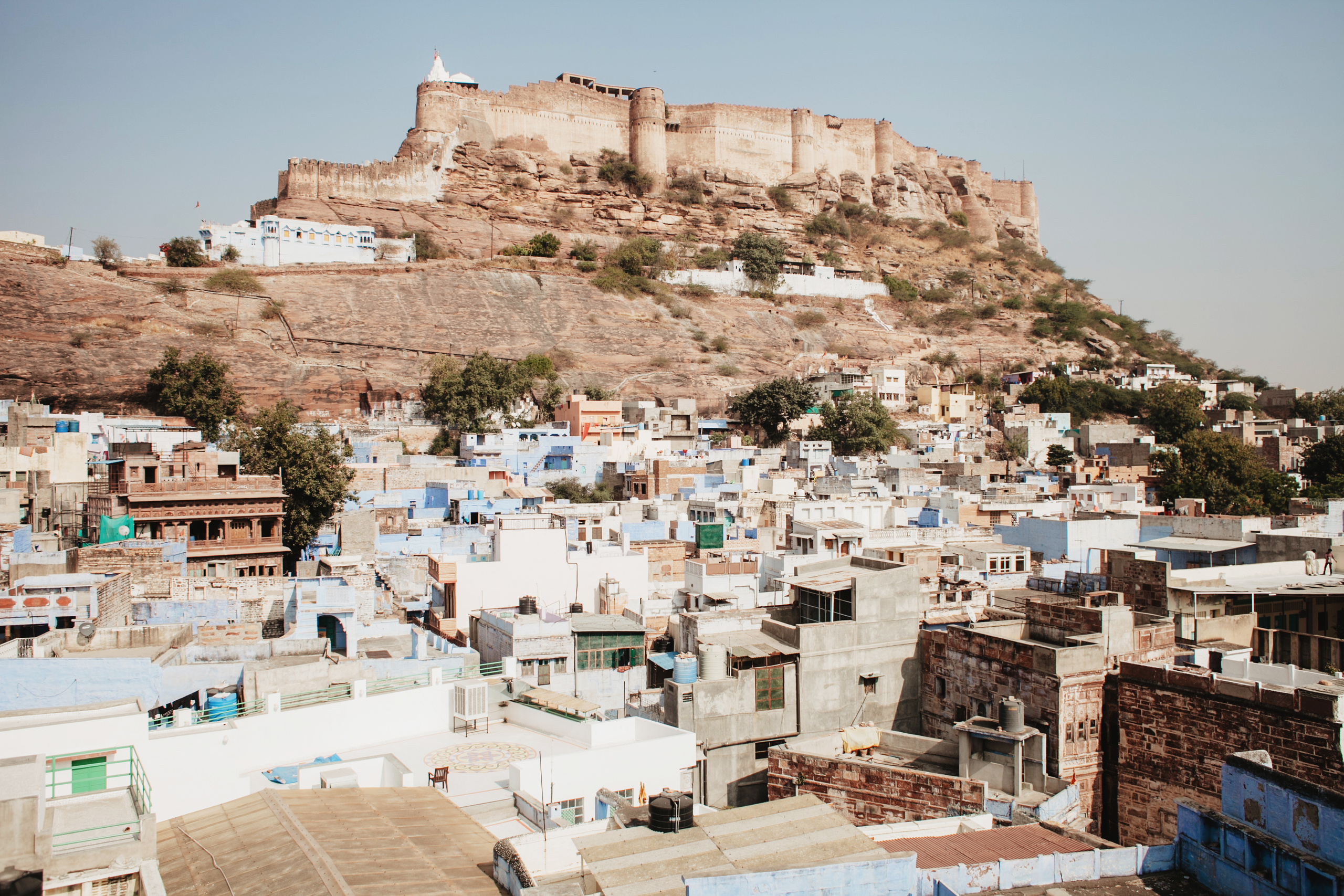 Джодхпур — синий, как василек, вросший стеблем в сыпучие дюны пустыни Тар, столица раджей Марвара и второй по величине город провинции Раджастан.

Перед поездкой закройте глаза и визуализируйте. Ковры-самолеты, шпили султаната, яркие сари, сугробы песка, скрепящие под острыми завитками ботинок, узкие синие лабиринты в облаках специй, левитирующие силуэты обезьян, изящные интерьеры дворцов. Босой Аладдин с лампой джинна. Сказочная мистерия образов, накопленных в детстве. Визуализируйте, не ленитесь. Когда вы окажетесь на месте, реальность все равно превзойдет ожидания.