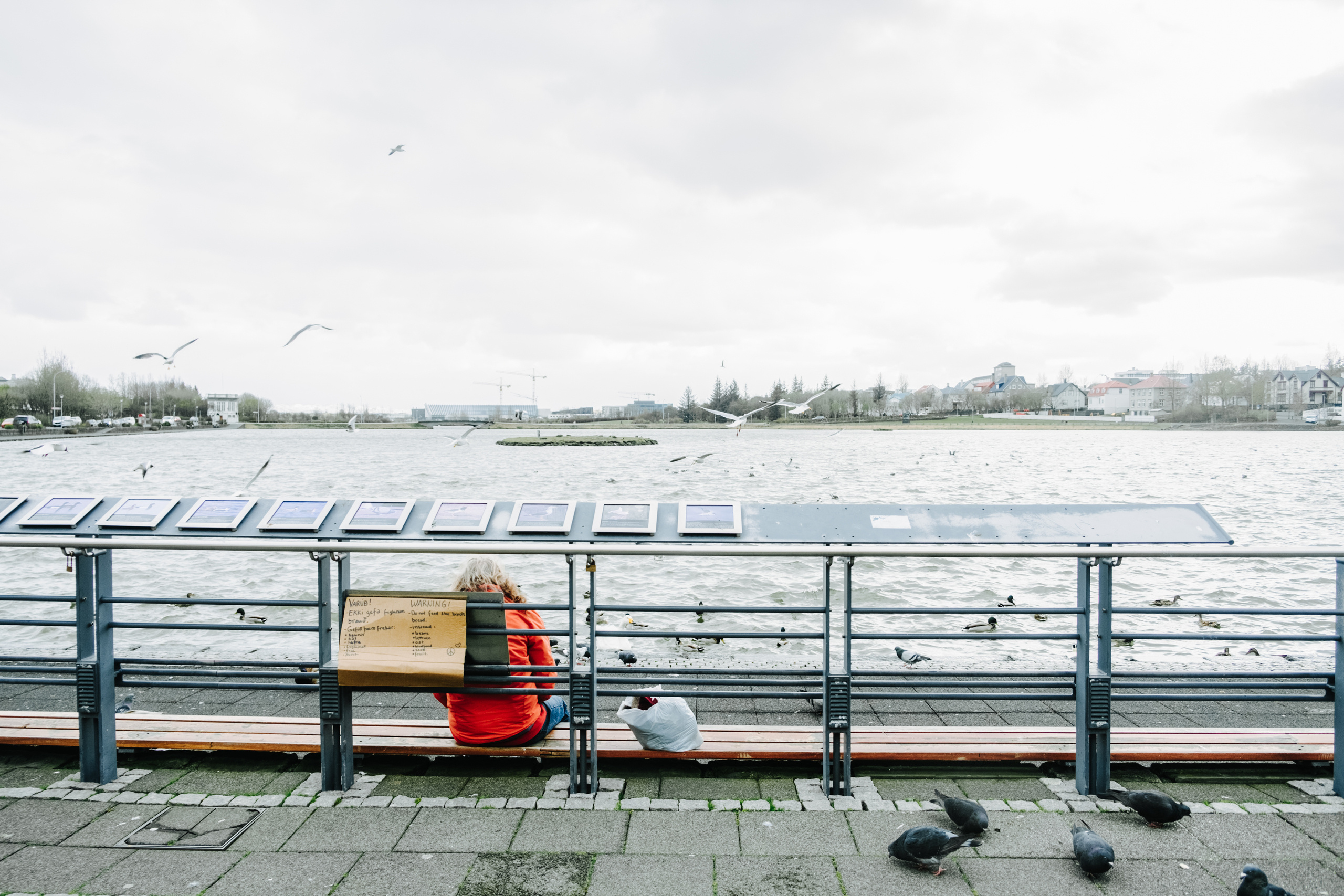 Iceland. Photographer Anastasiya Dubrovina