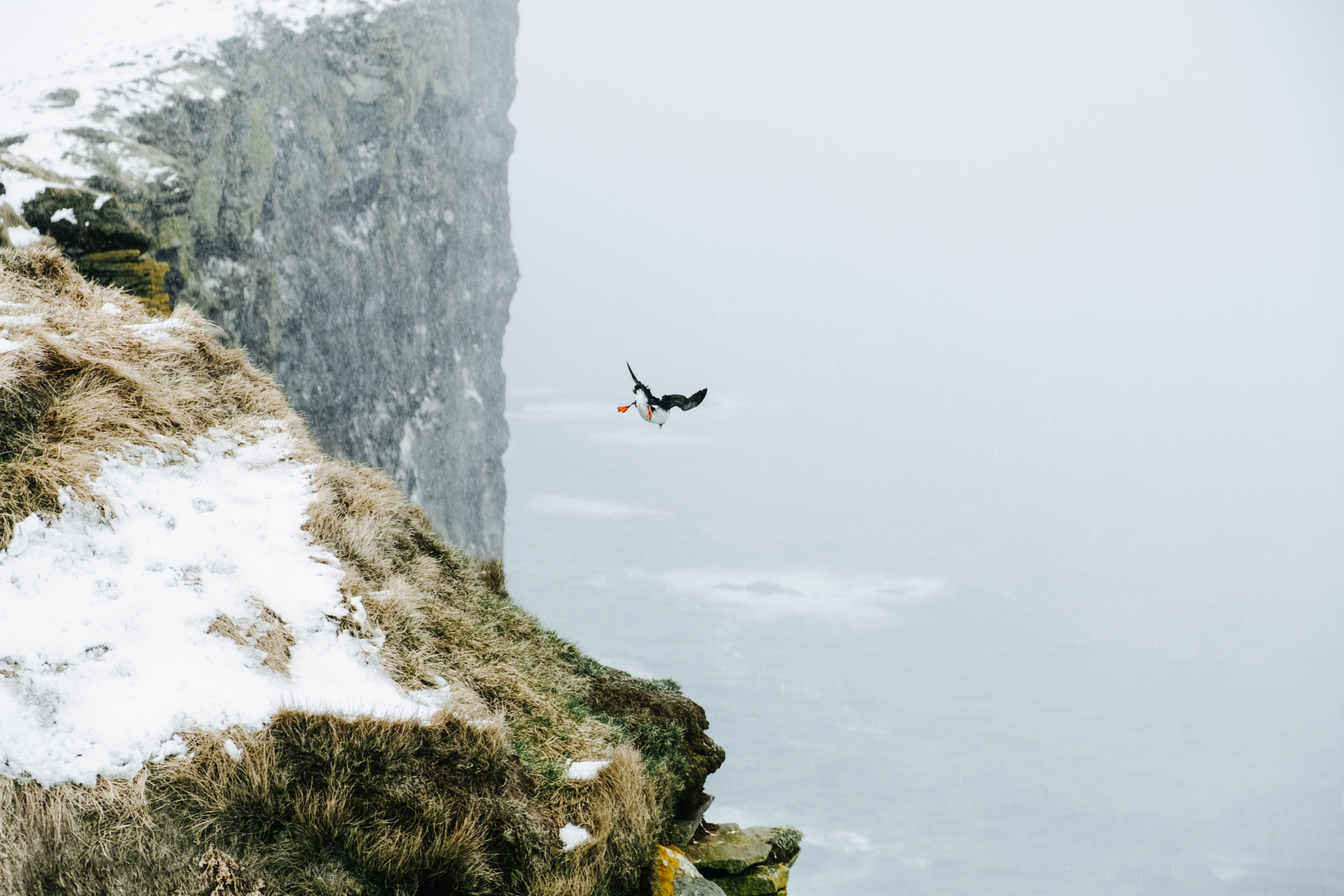 Iceland. Photographer Anastasiya Dubrovina
