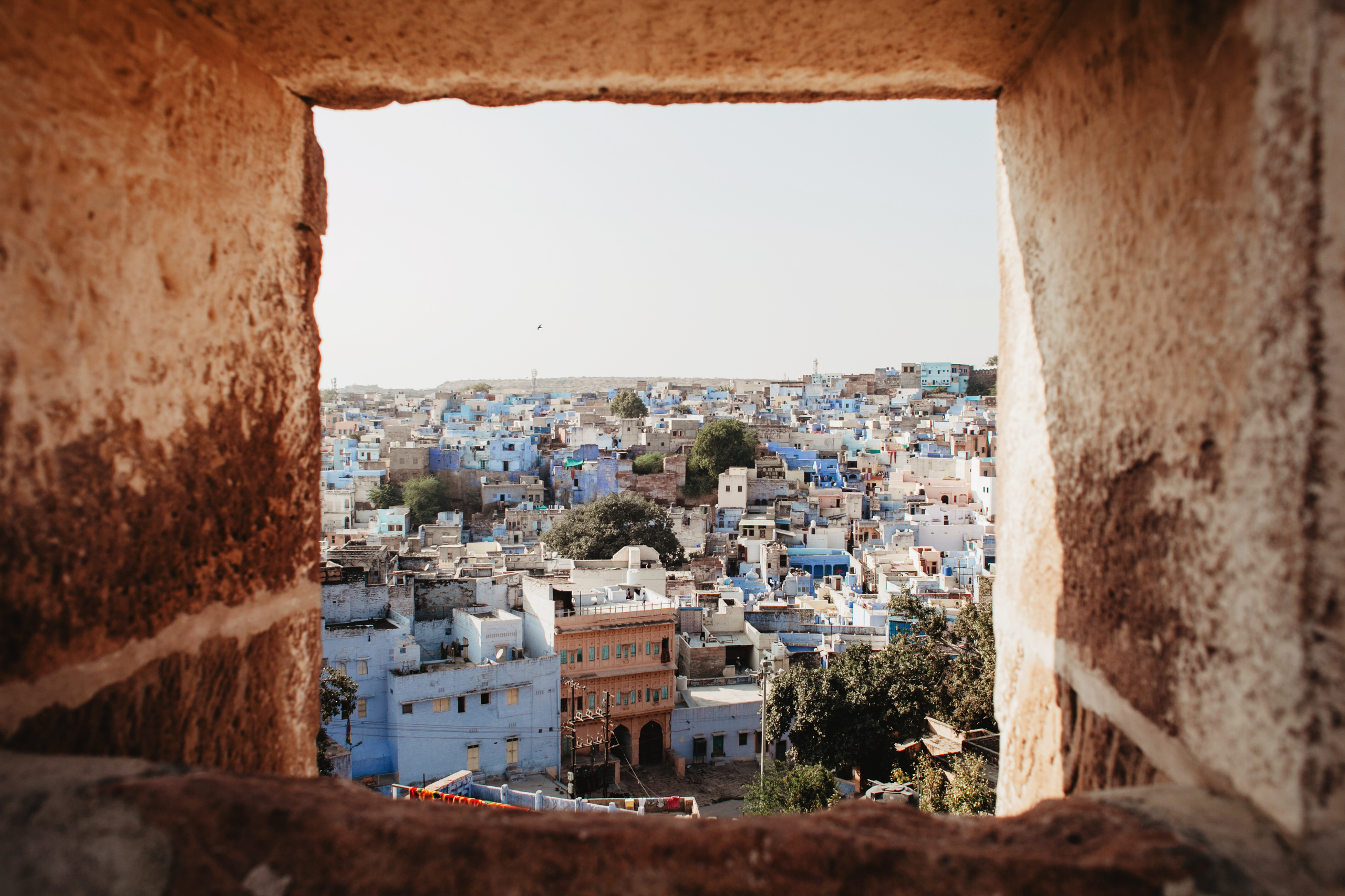 Jodhpur. Photographer Anastasiya Dubrovina