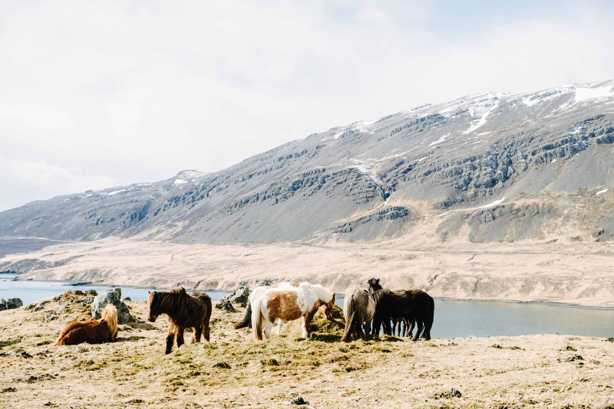 Iceland. Photographer Anastasiya Dubrovina