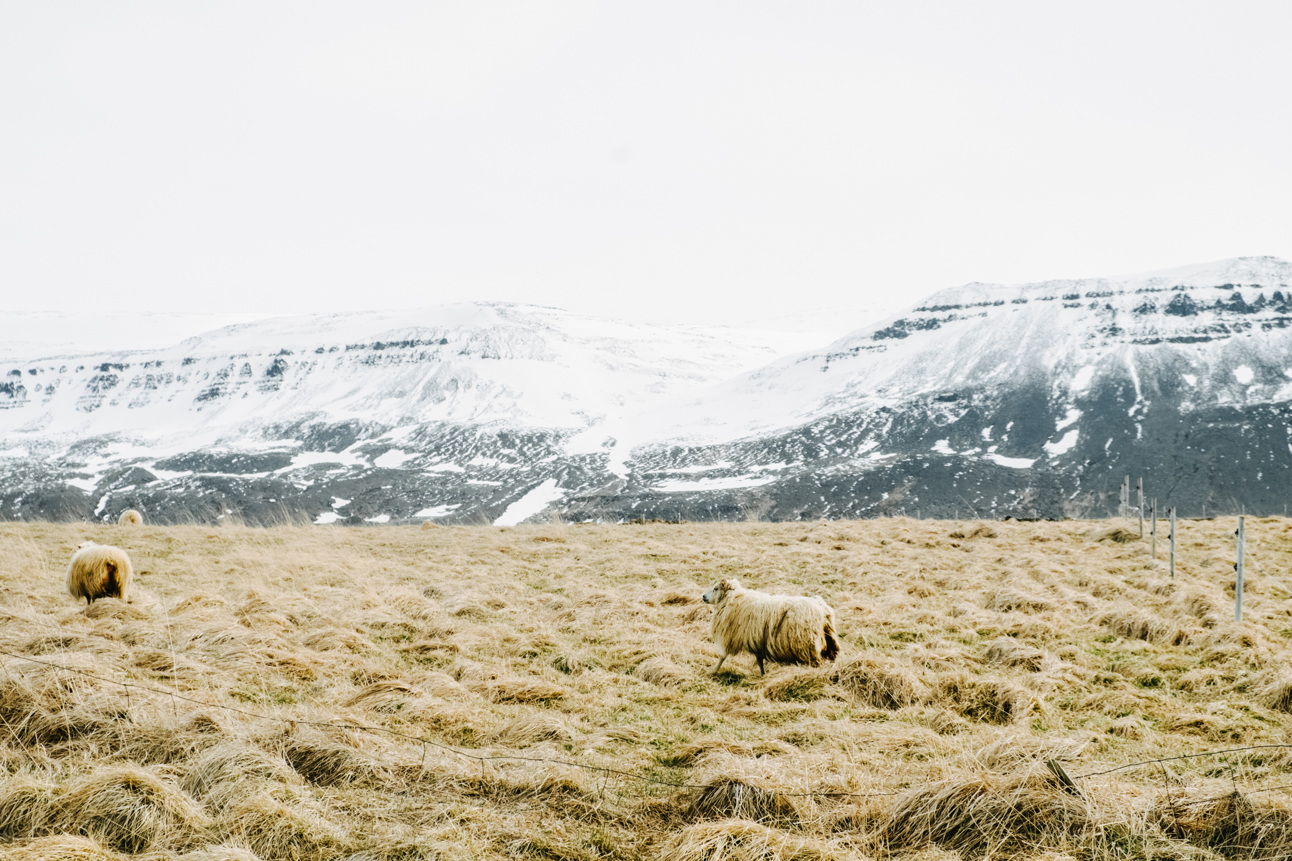 Iceland. Photographer Anastasiya Dubrovina