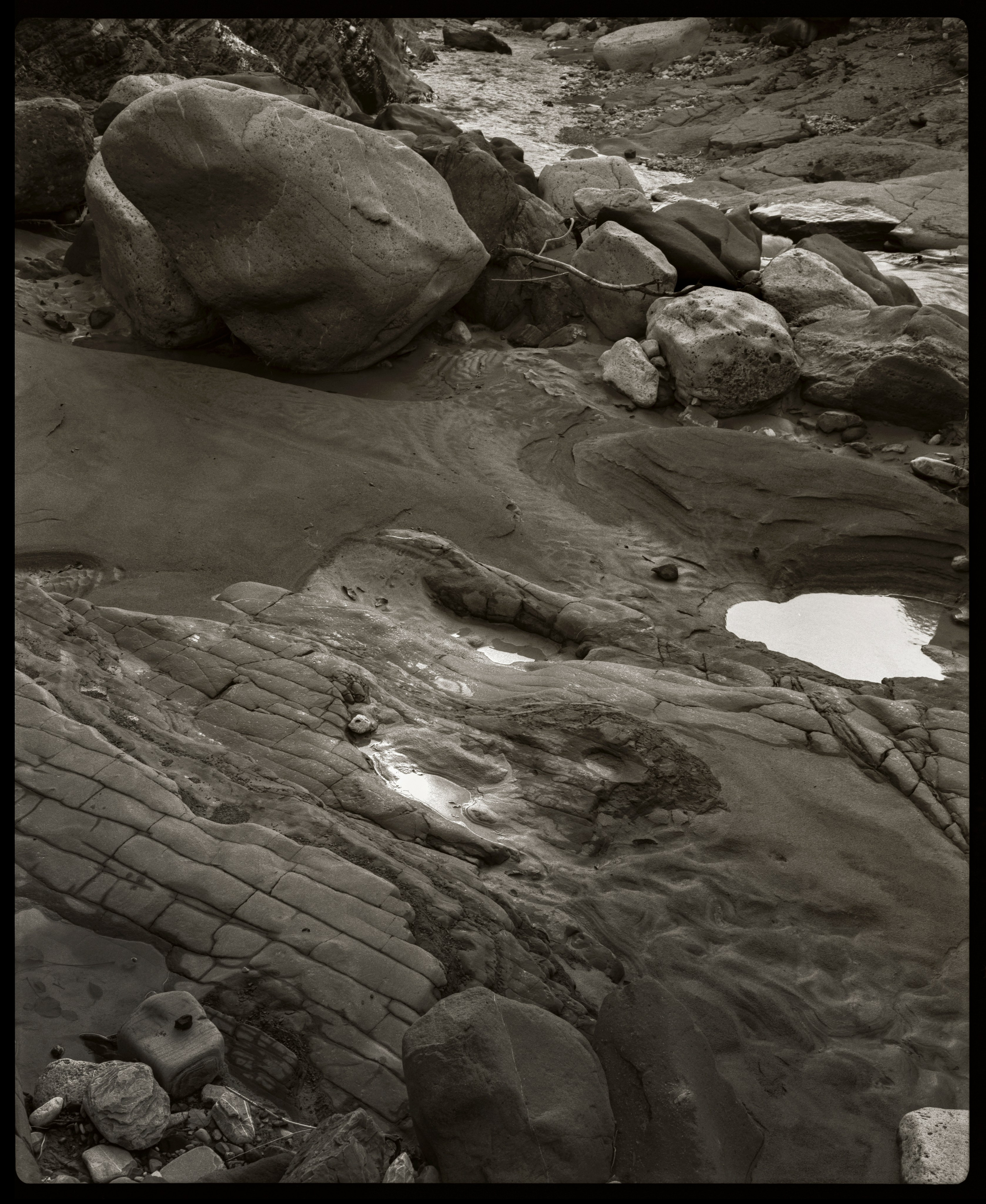 NATURE. Www.sananaleskerov.com