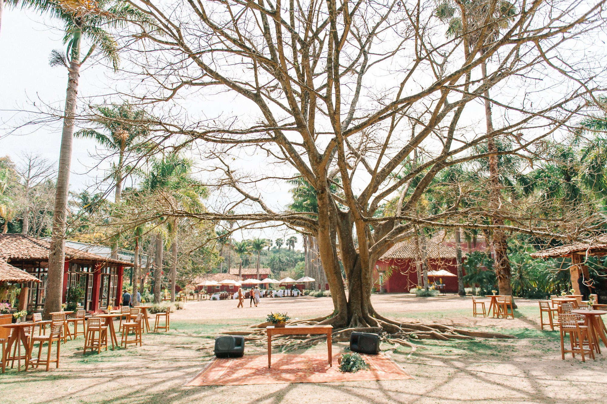 Clara e Arthur — Fazenda das Cabras