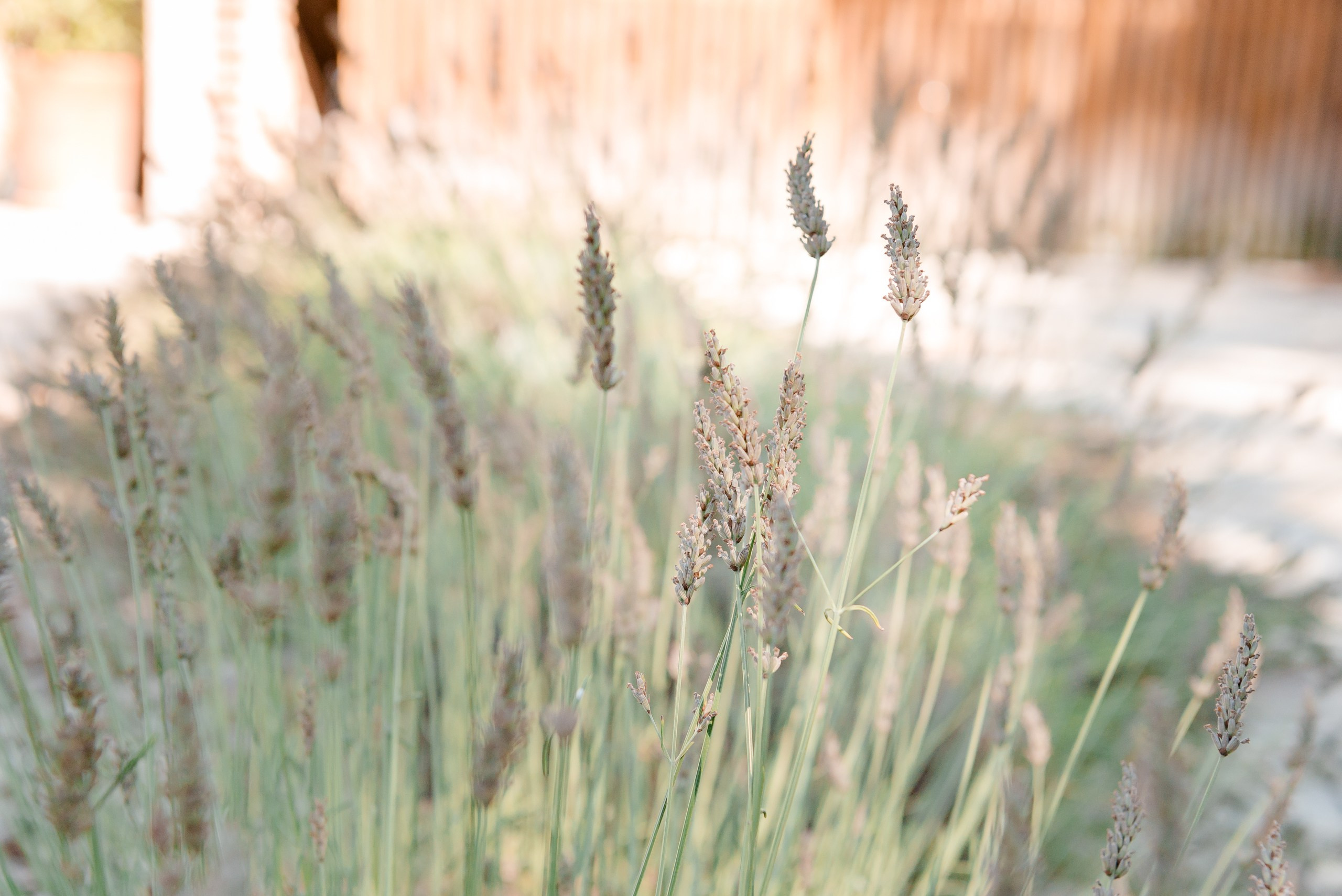 Summer vacations. Family B. MARIA VALUEVA Photographer in Nice, Cannes, Monaco, France, Europe, Istanbul, Turkey